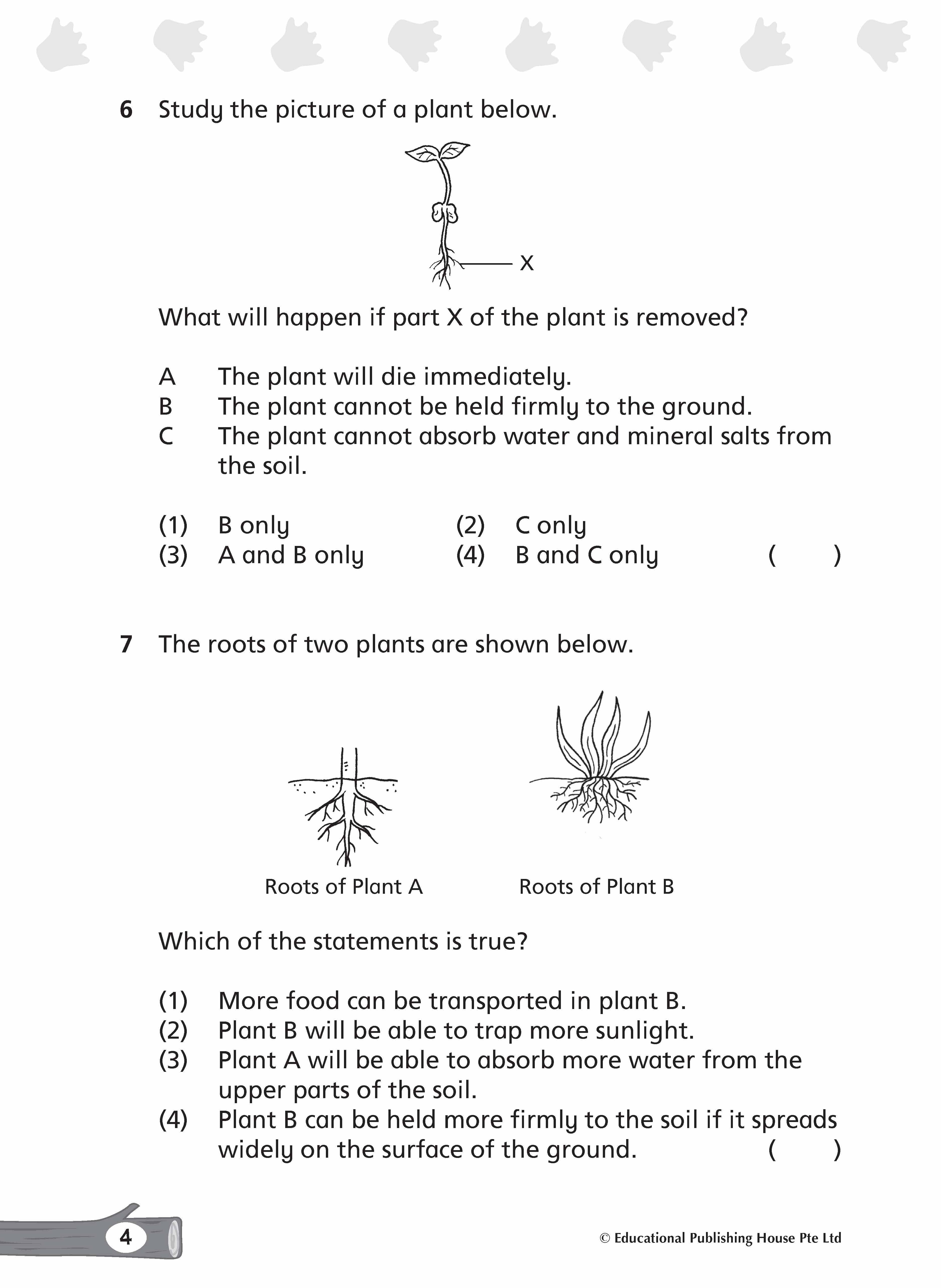 Primary 4 Complete Science Topical Tests