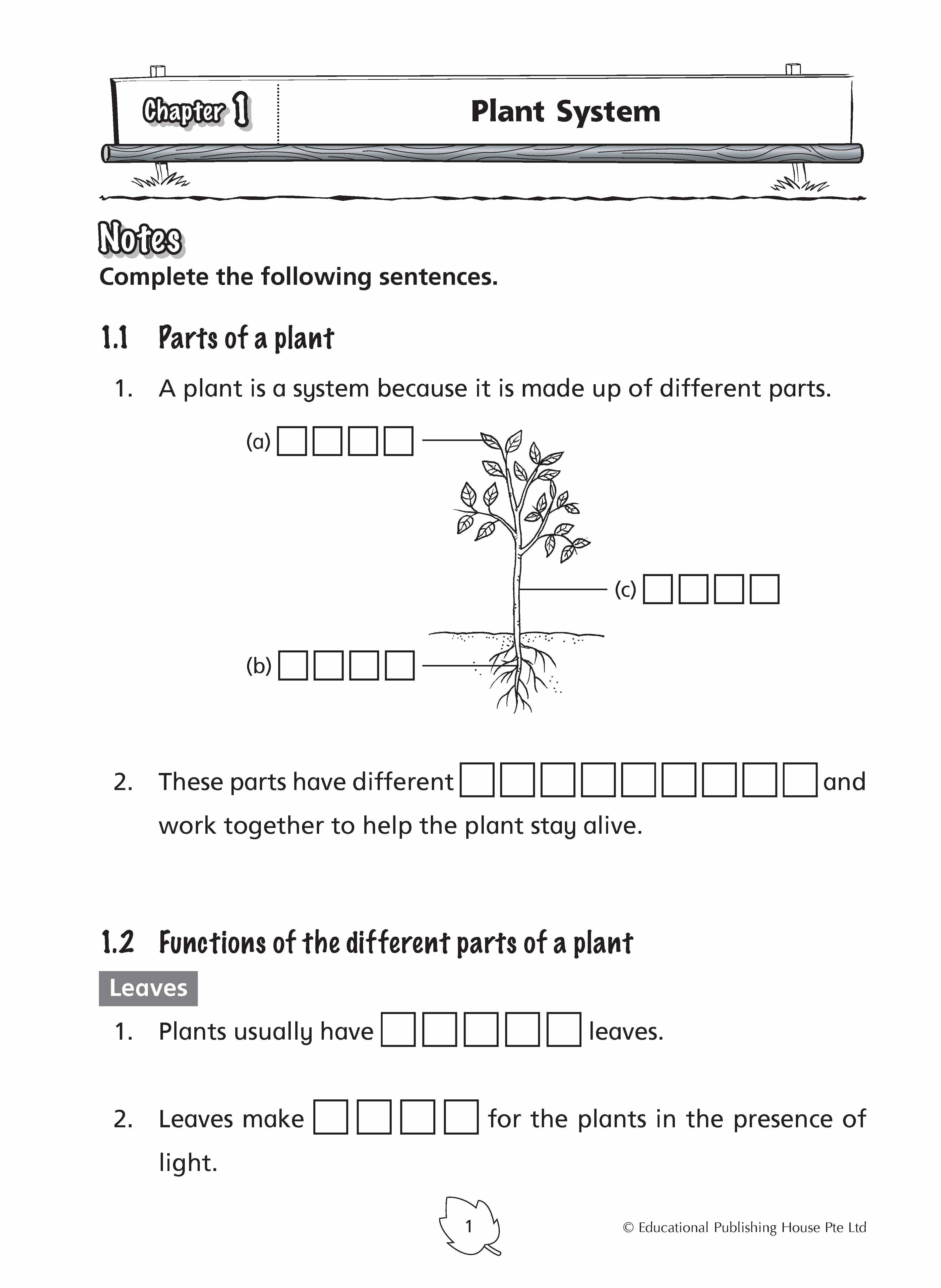 Primary 4 Science Practice 1000+