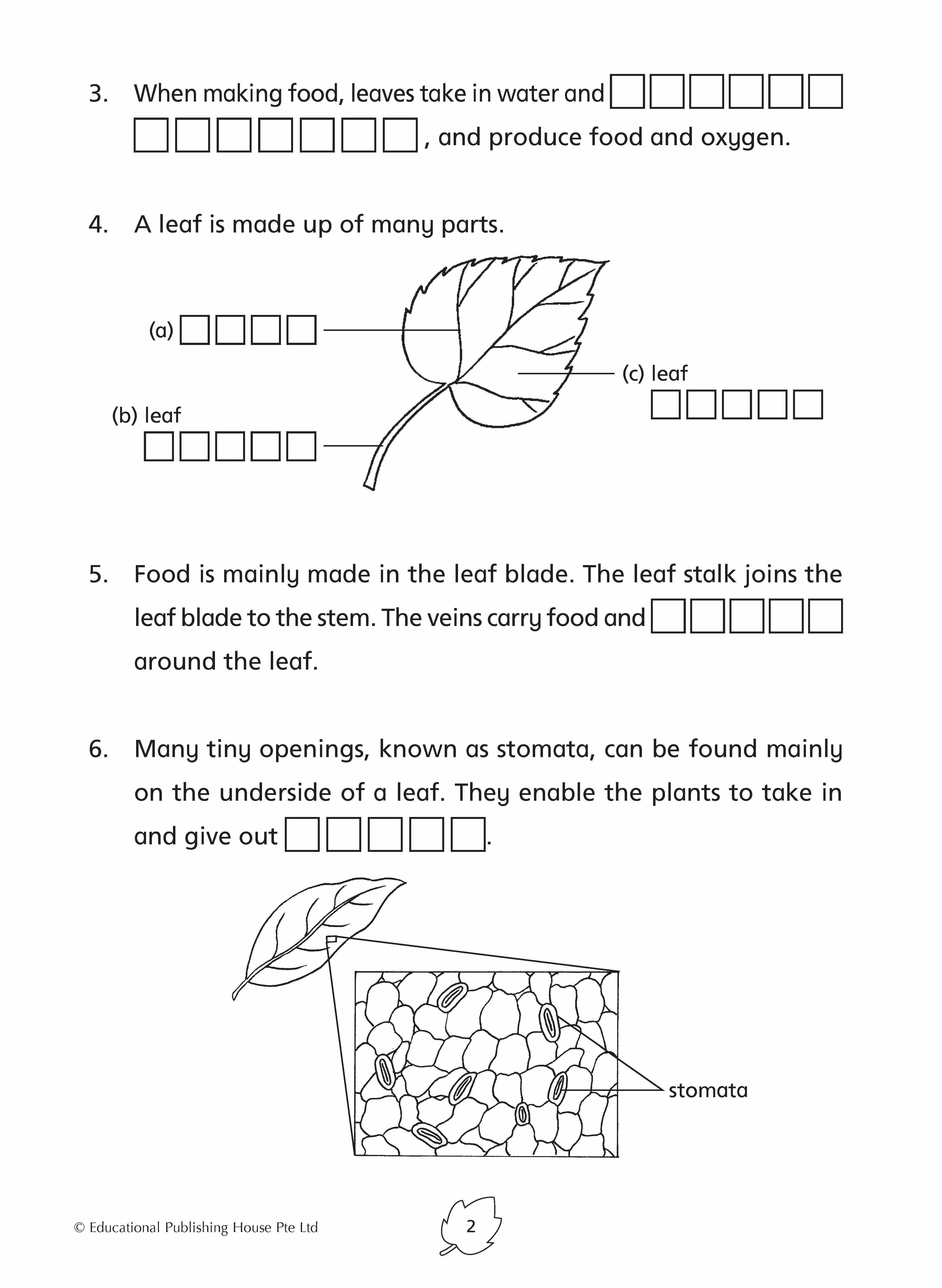 Primary 4 Science Practice 1000+