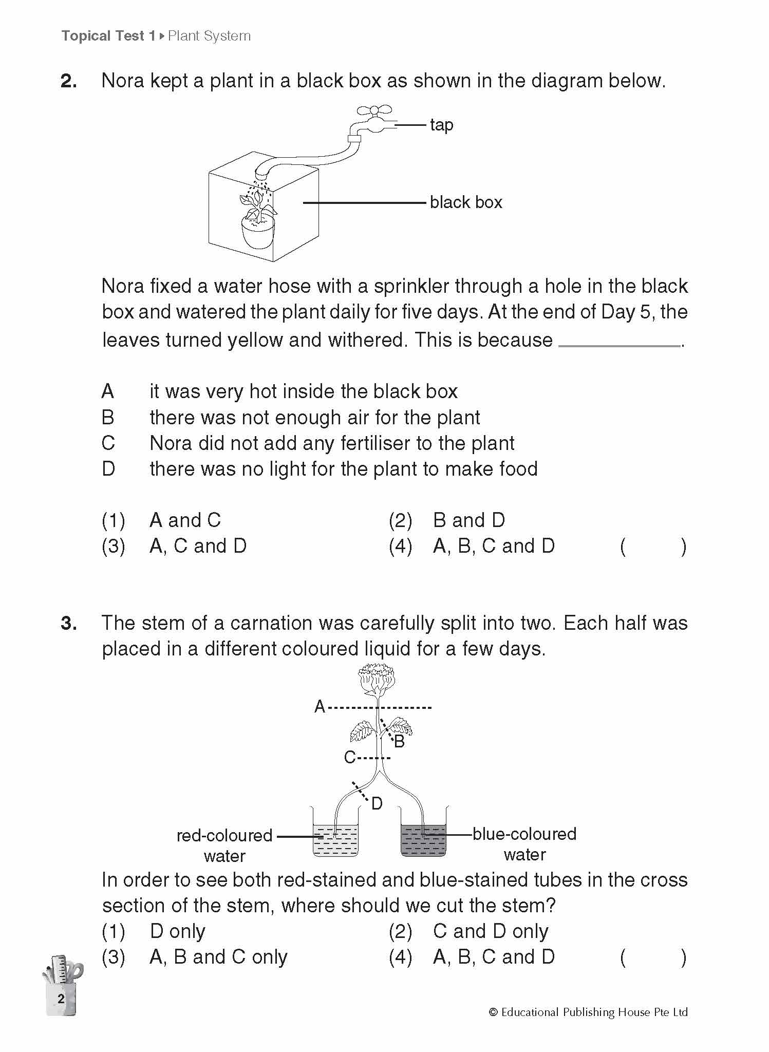 Primary 4 Science Topical and Thematic Tests