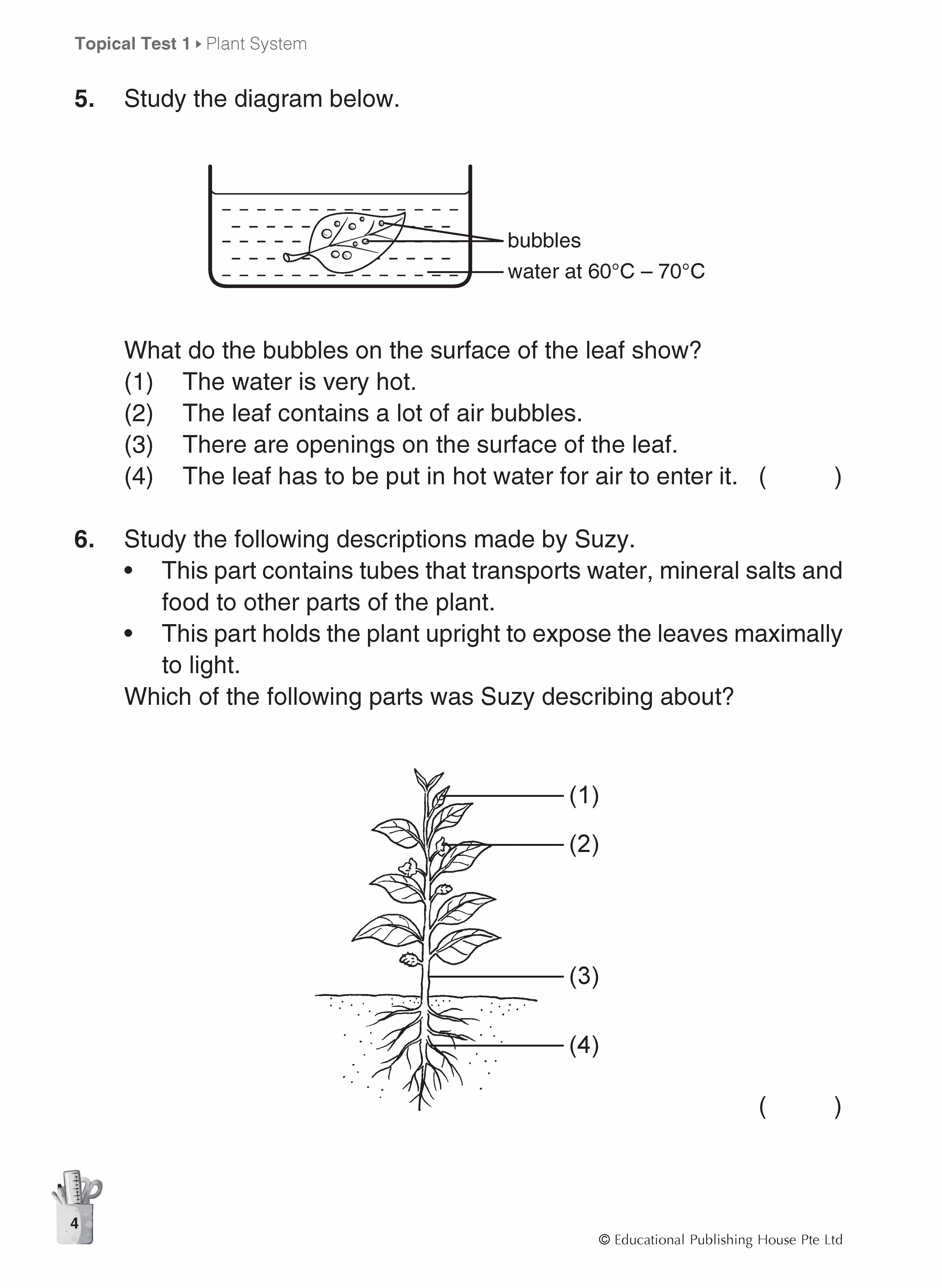 Primary 4 Science Topical and Thematic Tests