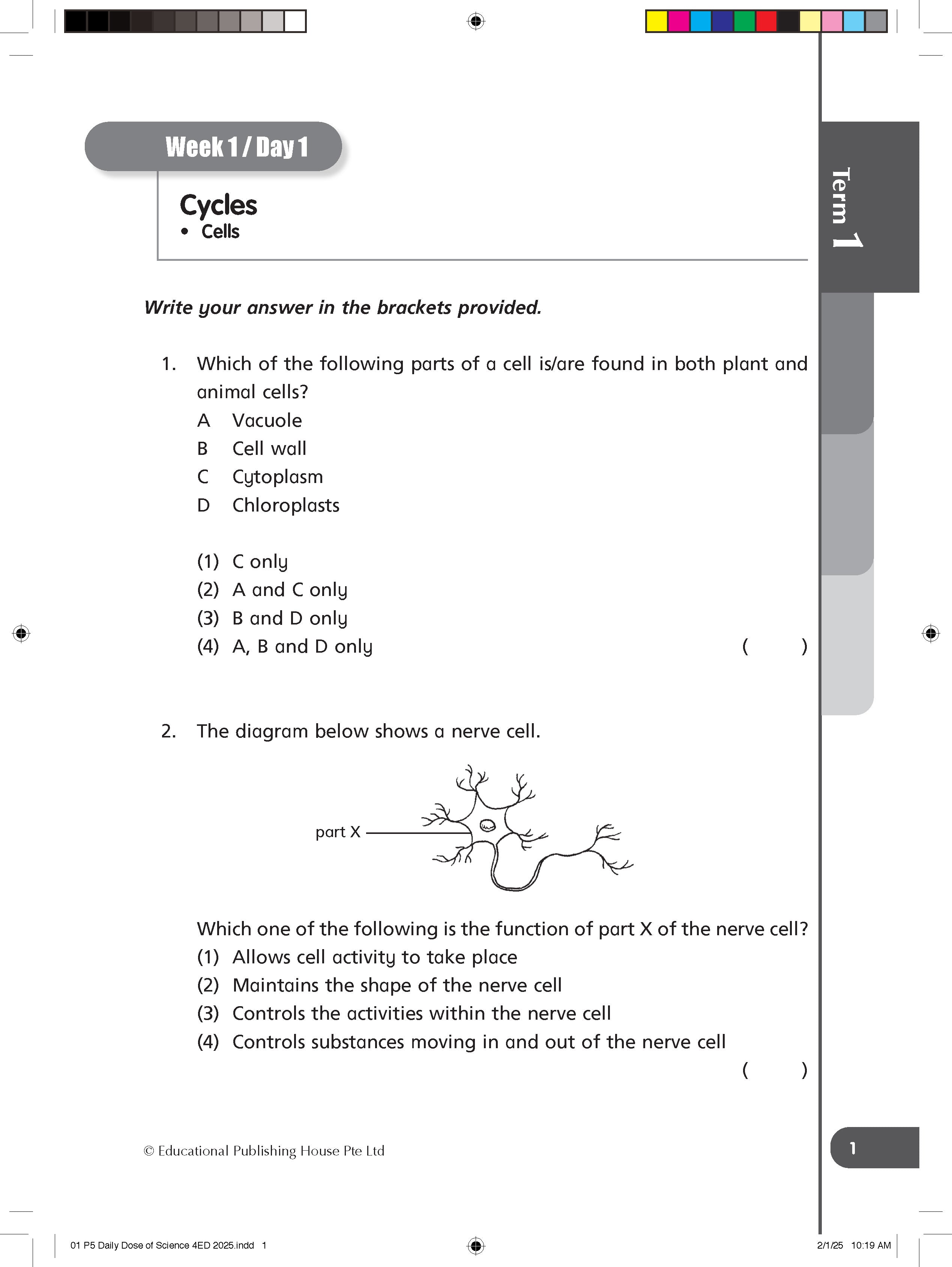 Primary 5 Daily Dose of Science-4ED