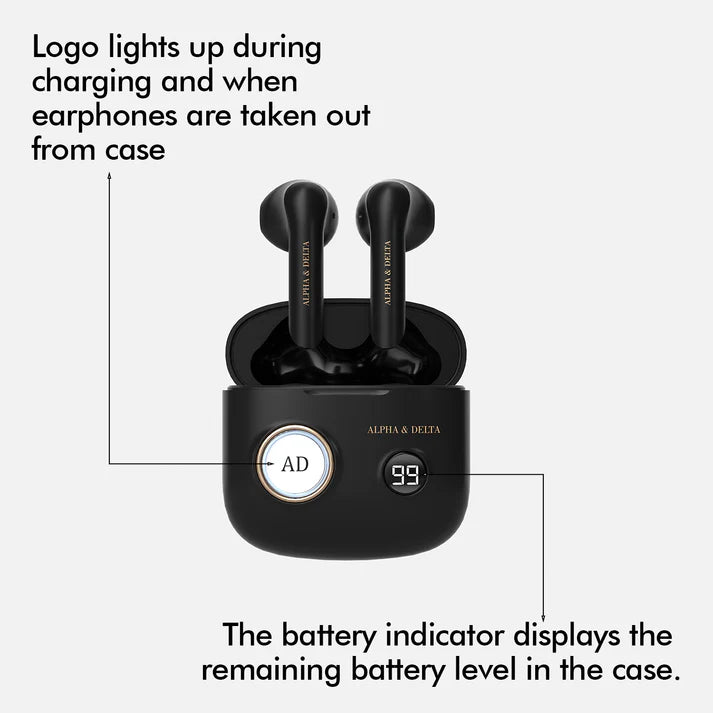 Alpha & Delta Analogue 2 Wireless Earbuds Black