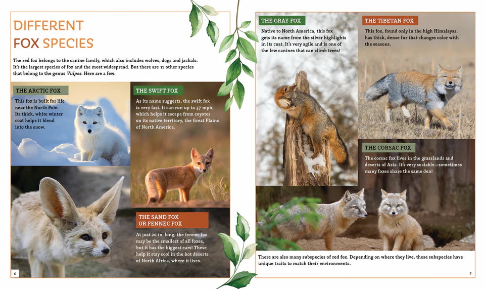 The Fox (Brainy Creatures)