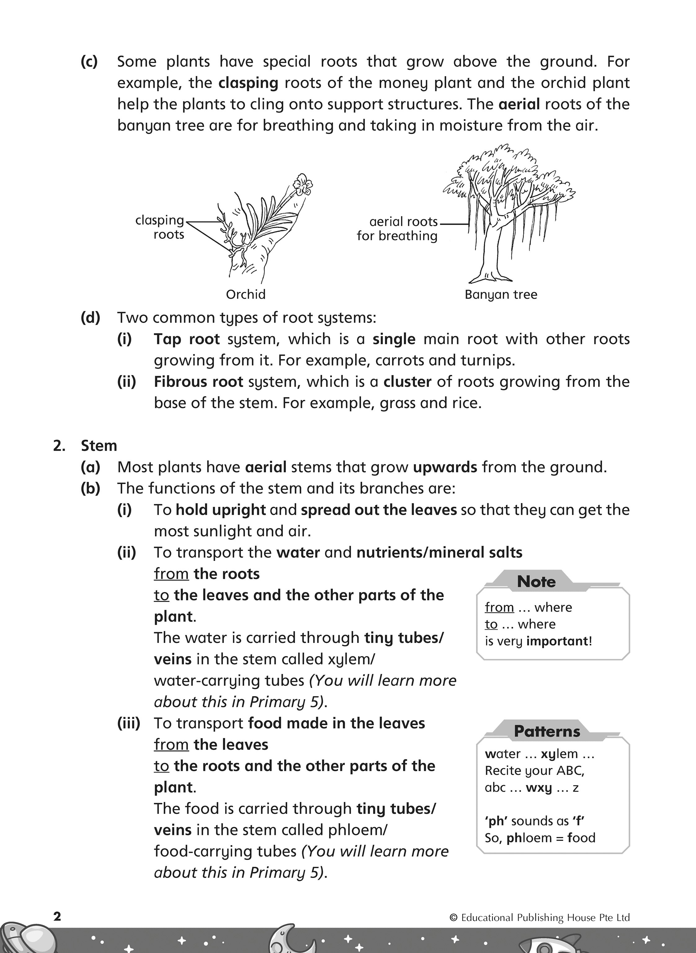 Primary 4 Rise To Excel In Science