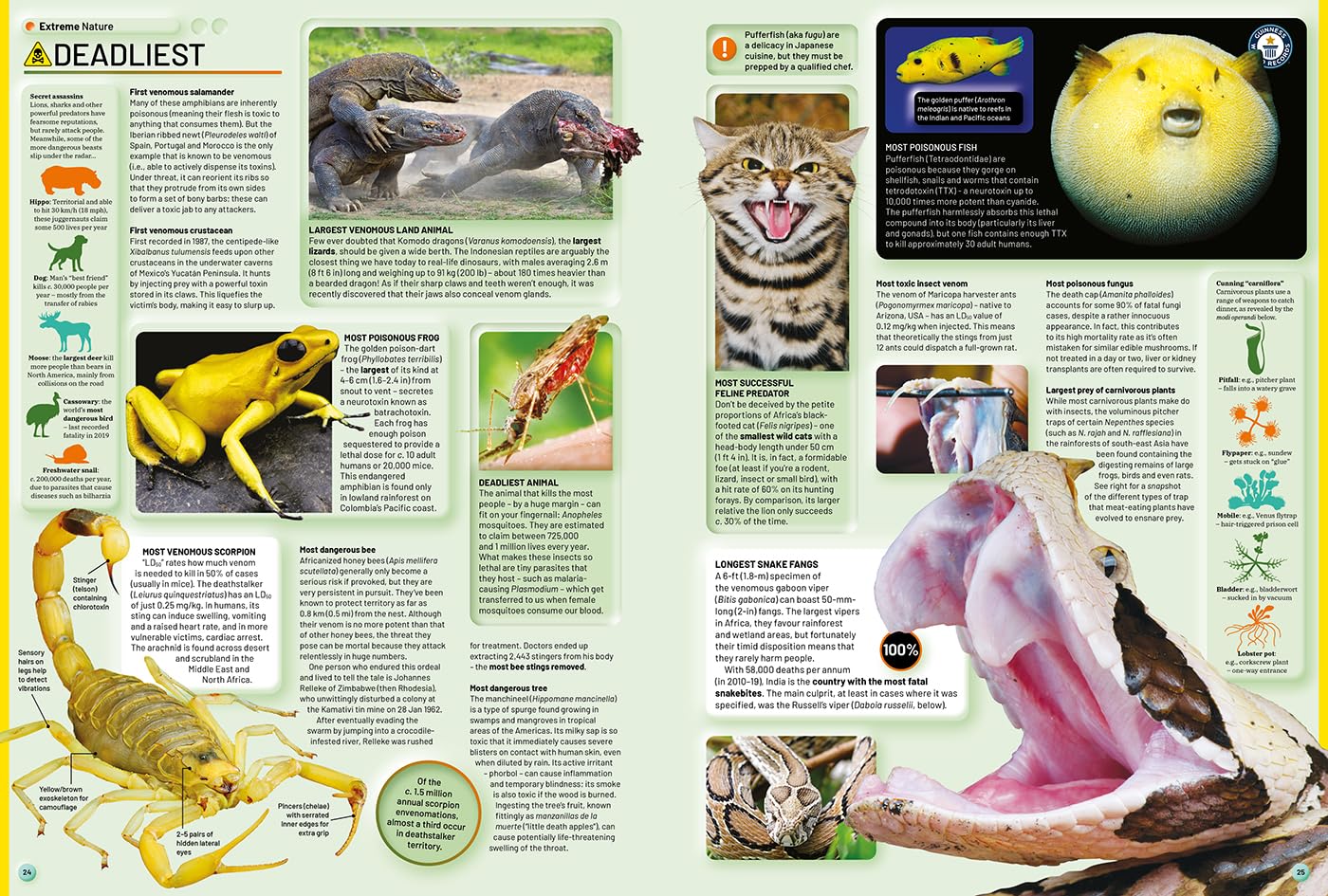 Guinness World Records 2026 (Hardcover)