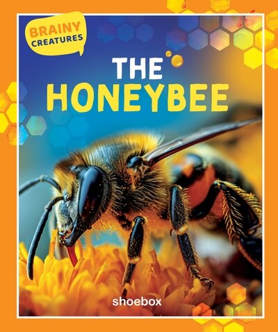 The Honeybee (Brainy Creatures)