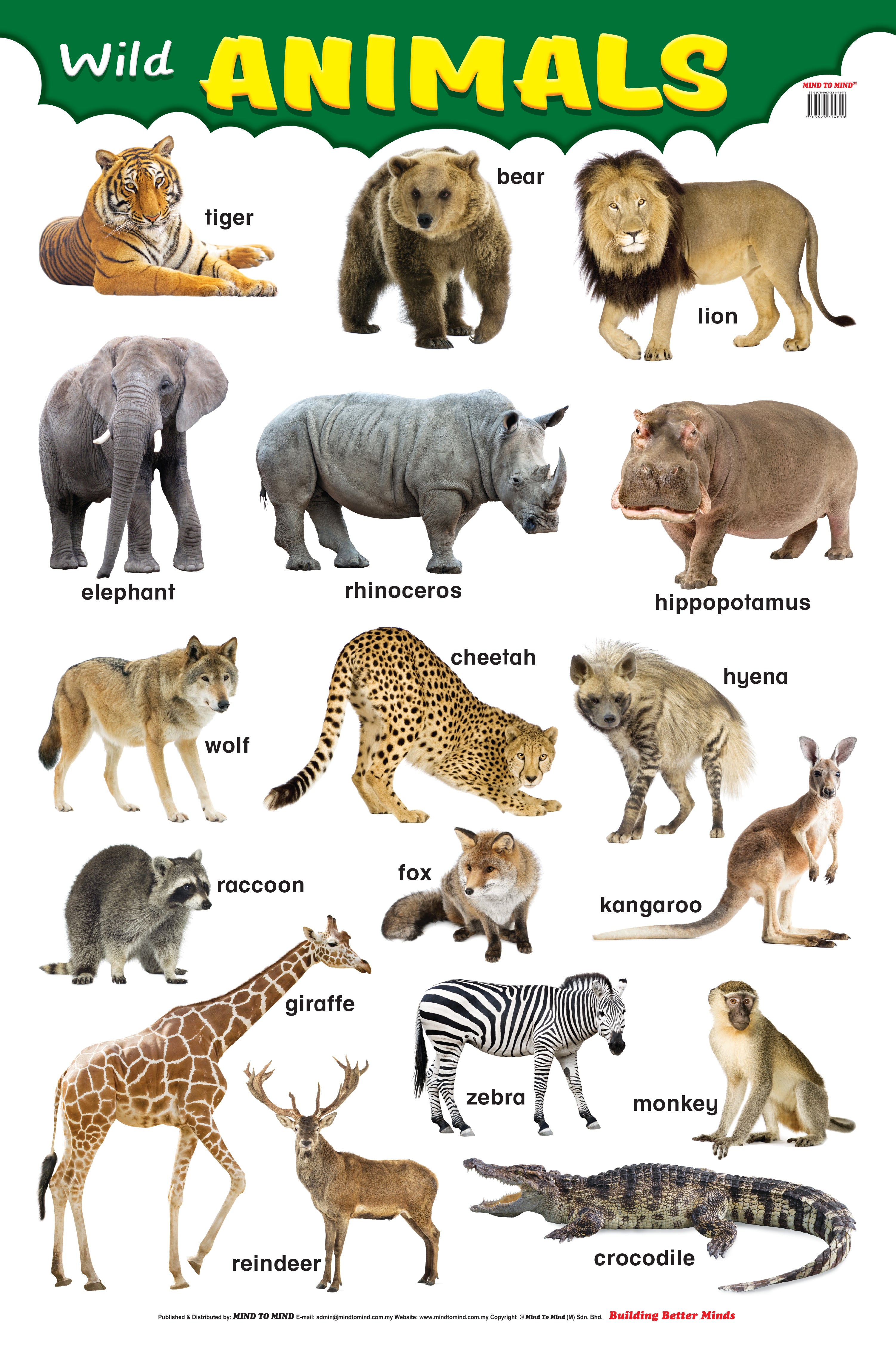 Wild Animals - Educational Wall Poster