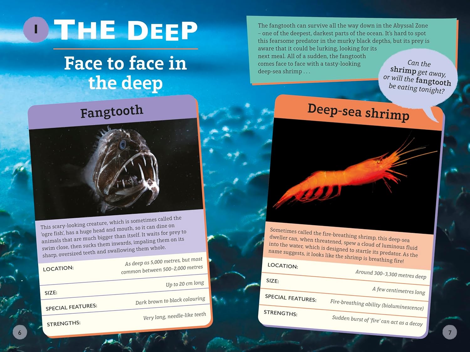 Who Wins? Blue Planet II (Paperback)