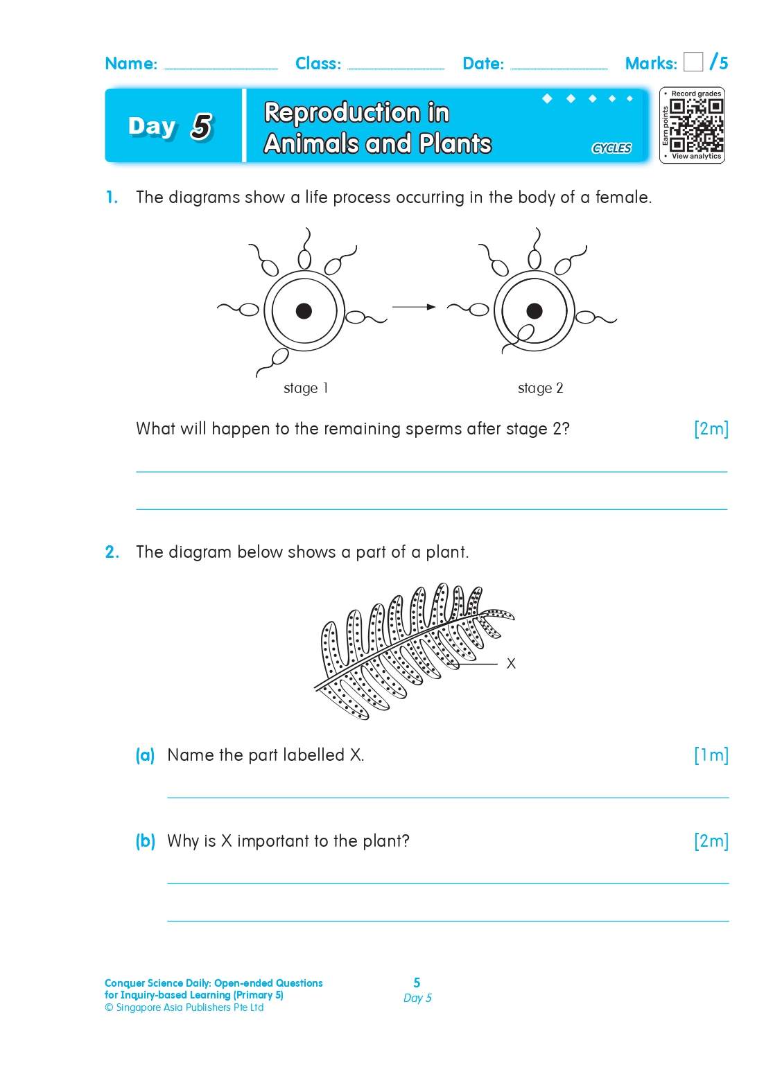 Conquer Science Daily Open-ended Questions for Inquiry-based Learning Primary 5