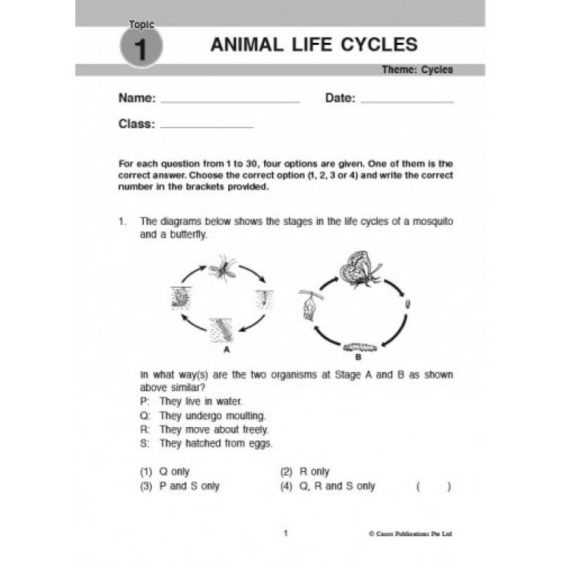 Focus and Think Science Primary 4