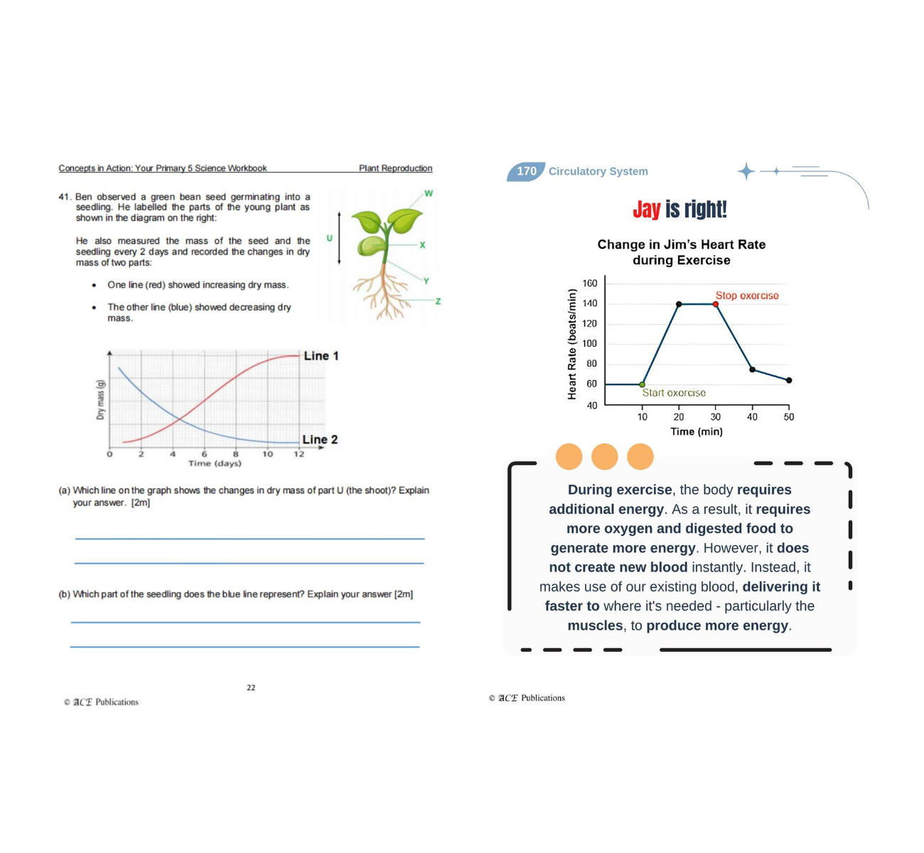 Primary 5 Science Bundle – Life Sciences (Get Your Concepts Right + Concepts In Action)