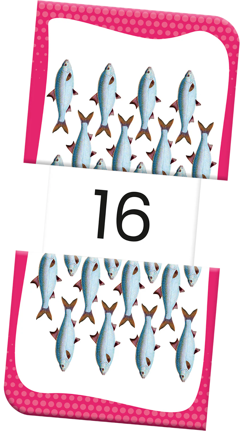 Slide & Learn Flashcards: Numbers
