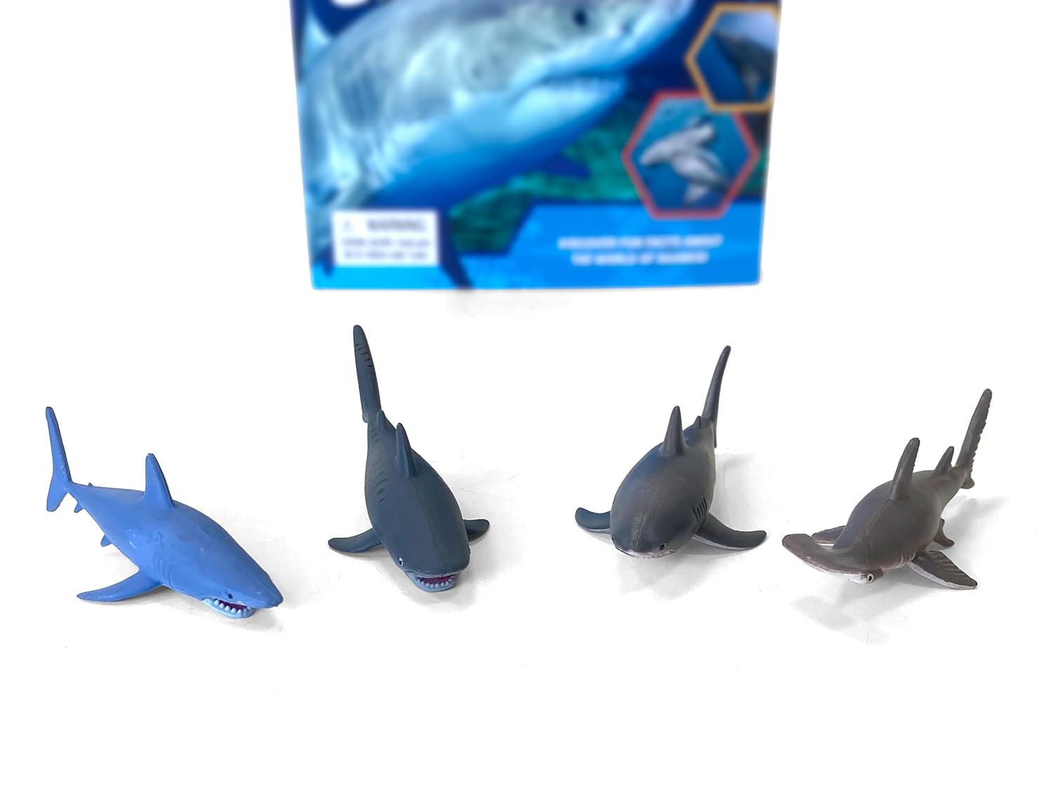 Pocket Explorers: Sharks