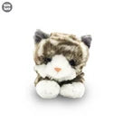 Uw Ss 12 Laying Cat