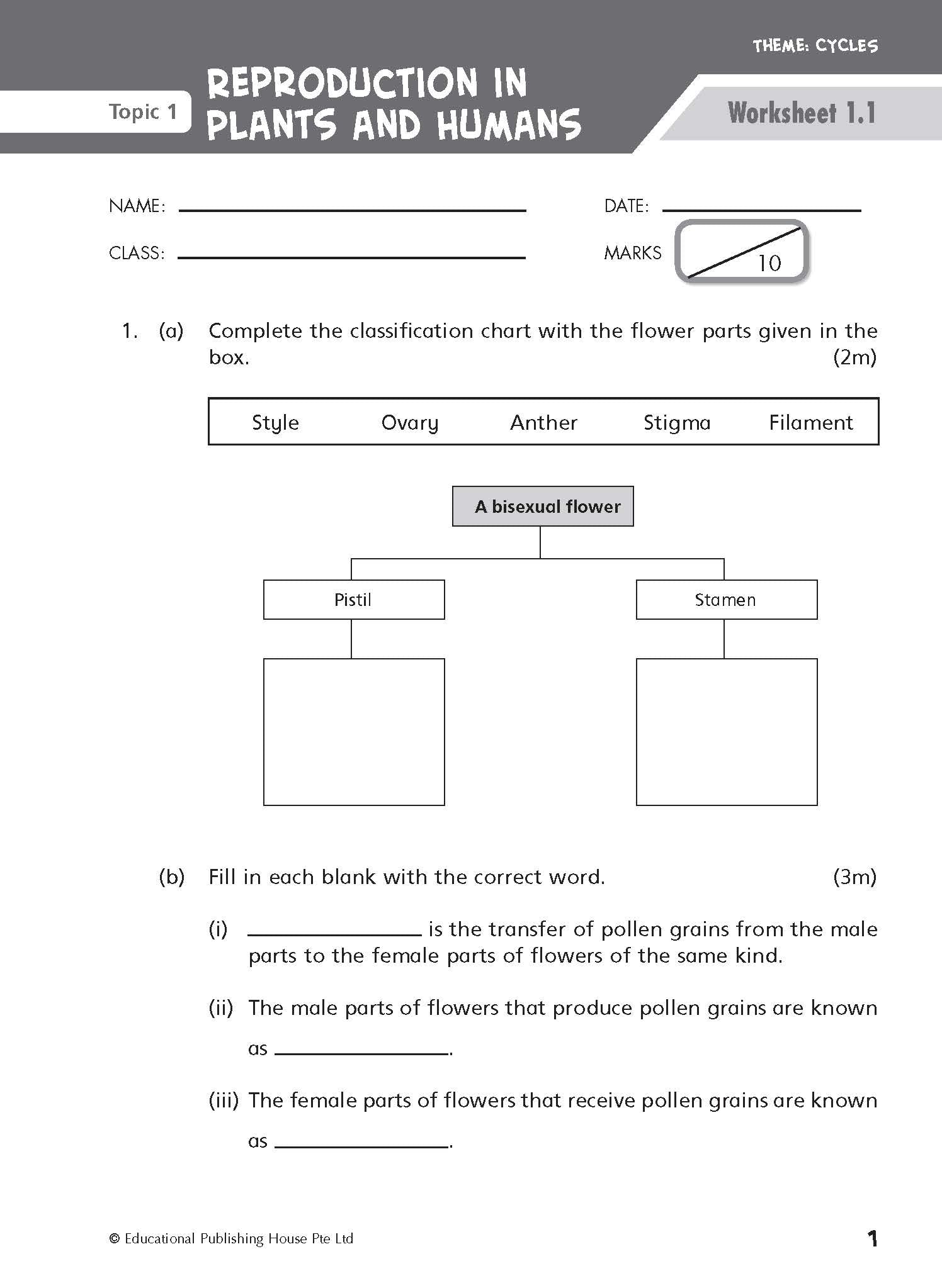 Upper Block Janet Sim’s Science OEQs