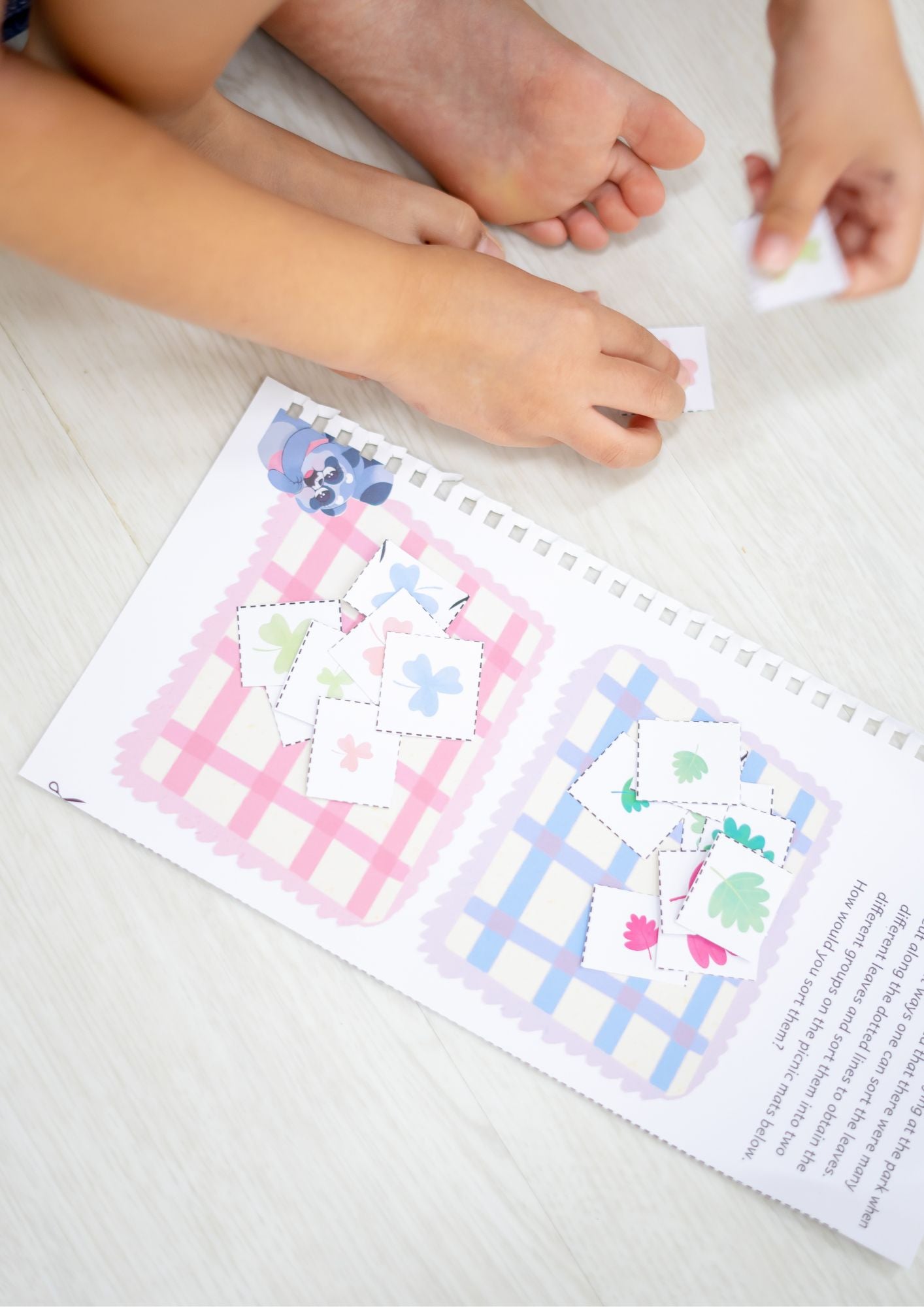 Maths Play Book - Sorting & Classification  (3-6yo)