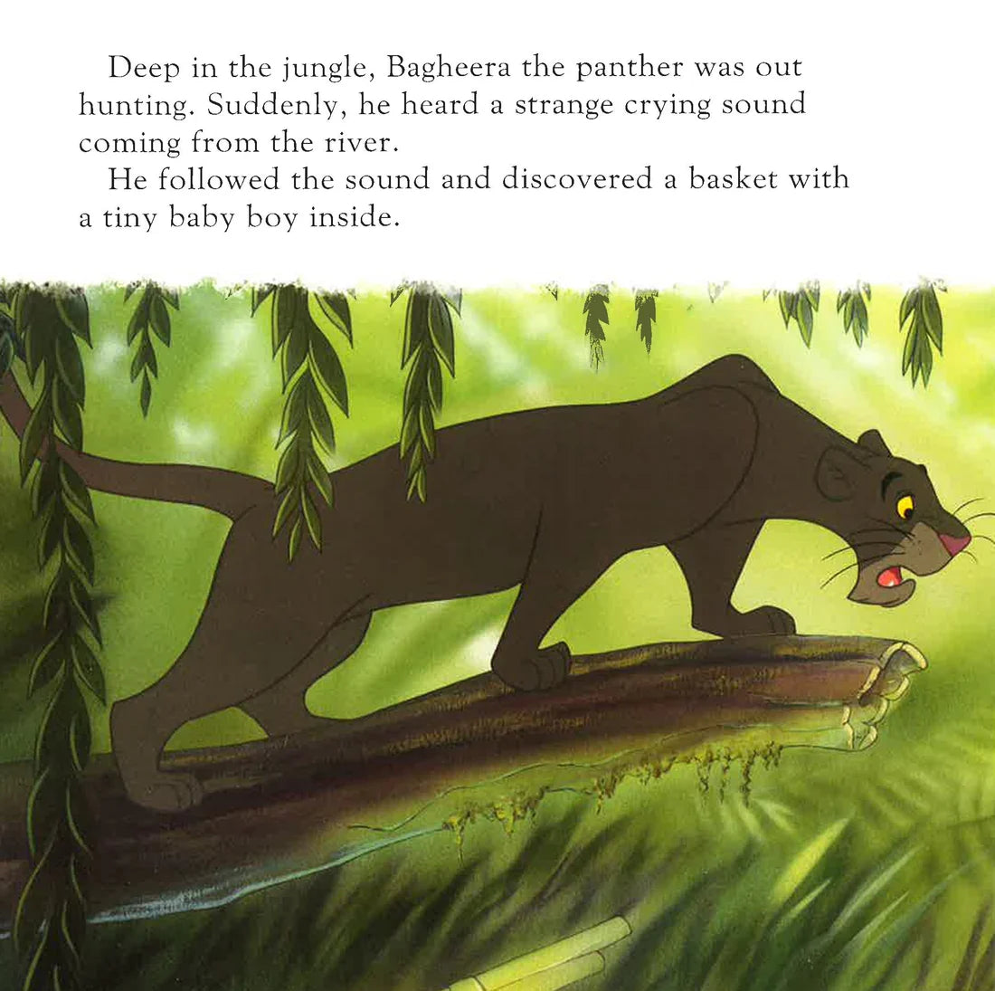 Disney Jungle Book Little Readers Cased