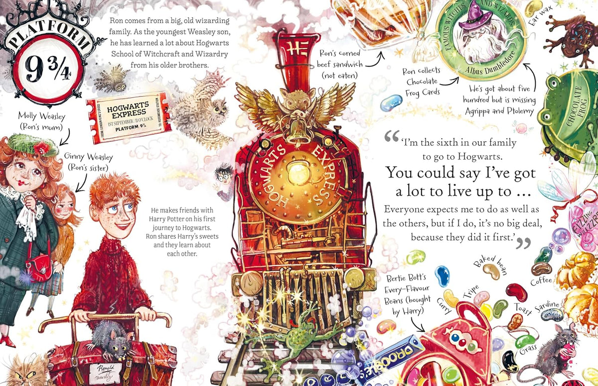 Harry Potter Pocket Potter: Ron Weasley (Hardback)