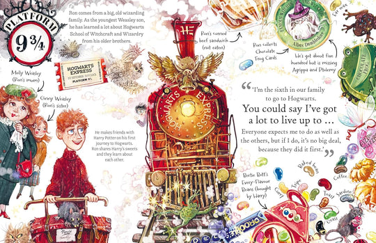 Harry Potter Pocket Potter: Ron Weasley (Hardback)