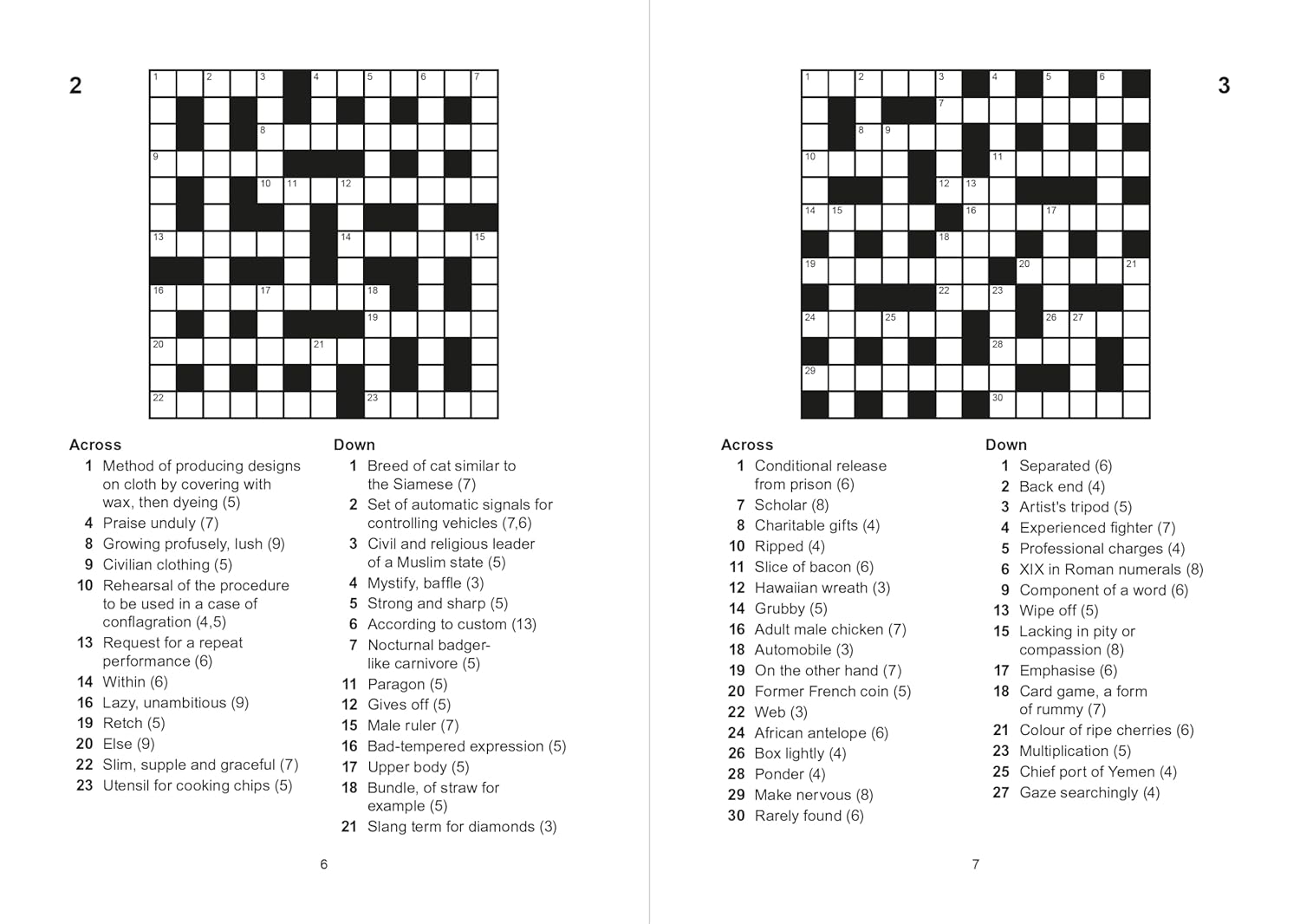 Crosswords (Paperback)