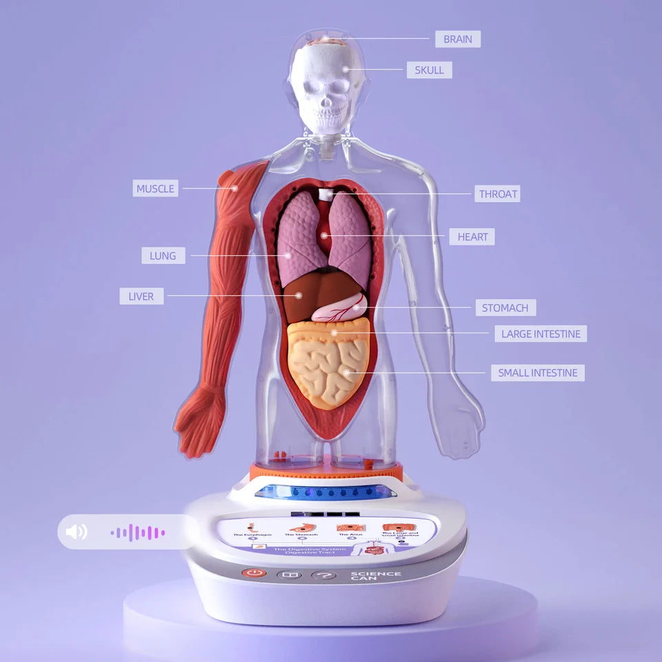 STEM My Body Voice Pedia 