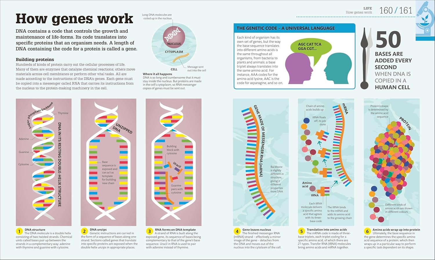 How Science Works: The Facts Visually Explained (Hardcover) 