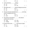 K2 to Primary 1 English Grammar Practice