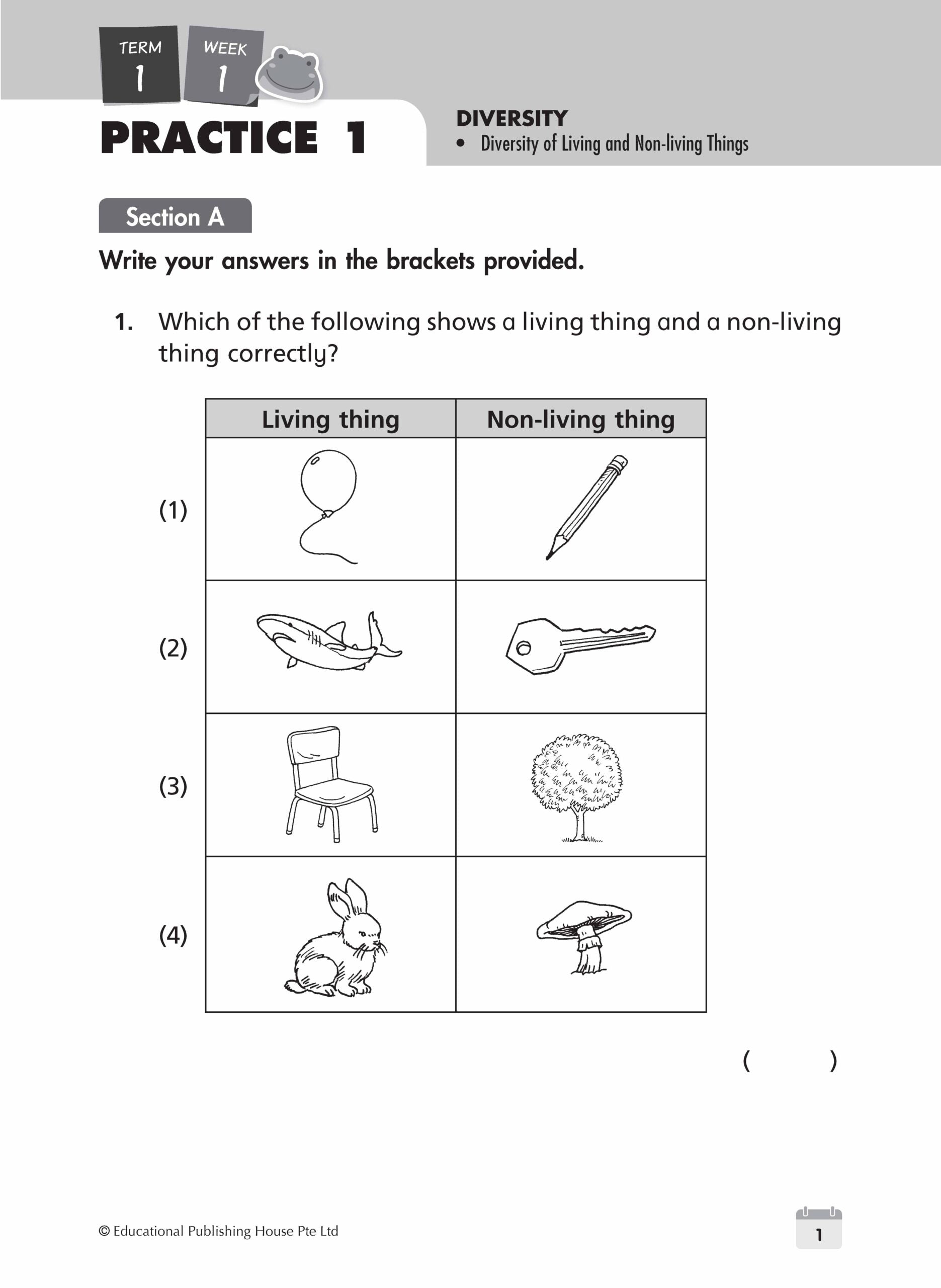 Primary 3 Science Weekly Revision (3rd Edition)