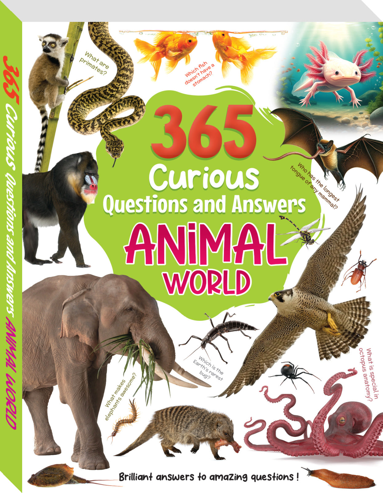 365 Curious Questions and Answers: Animal World 