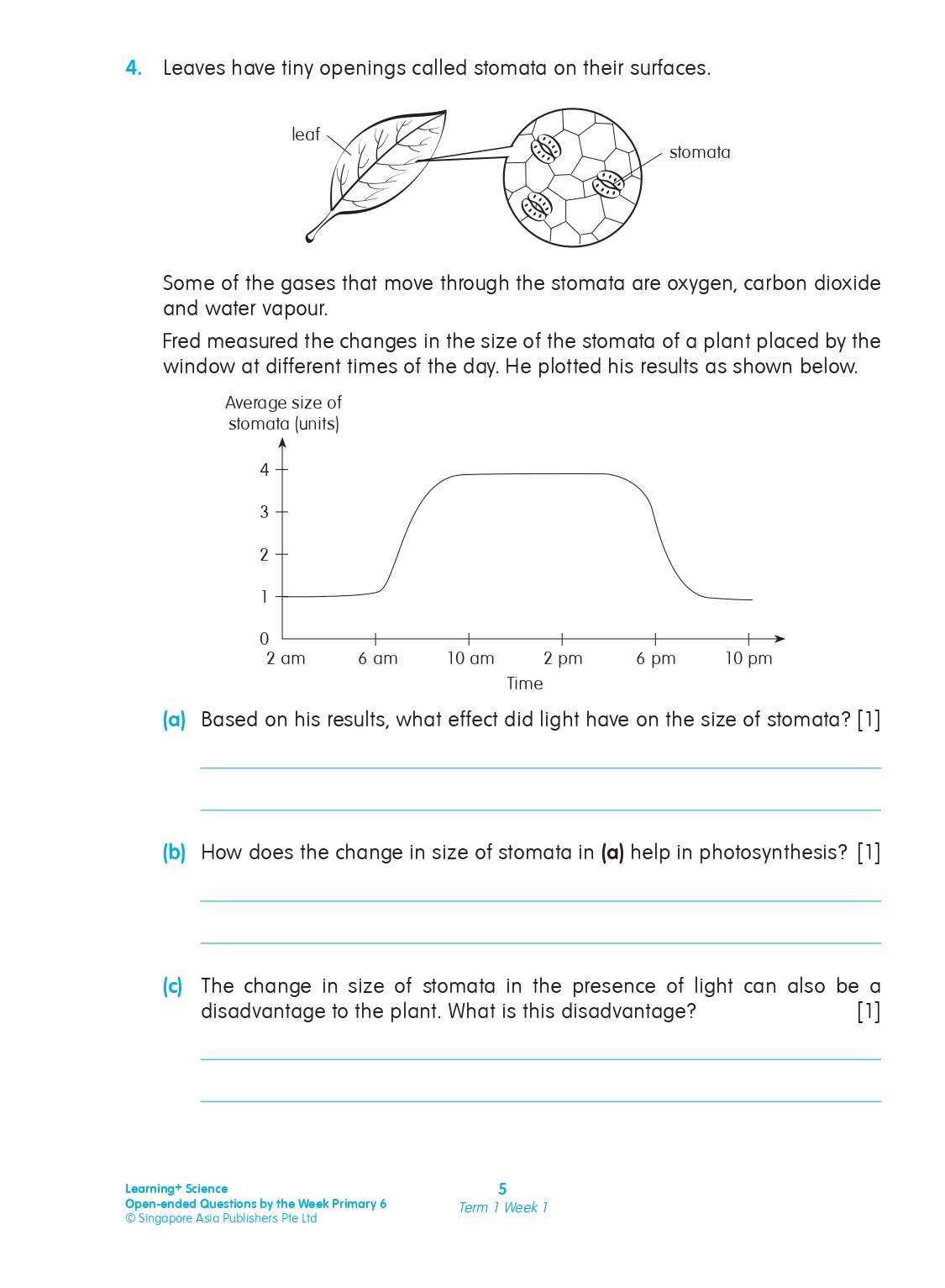 LEARNING+ SCIENCE Open-ended Questions by the WEEK Workbook 6