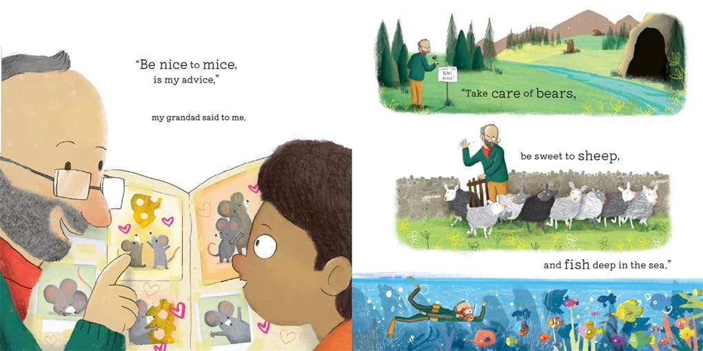 Don't Laugh at Giraffes