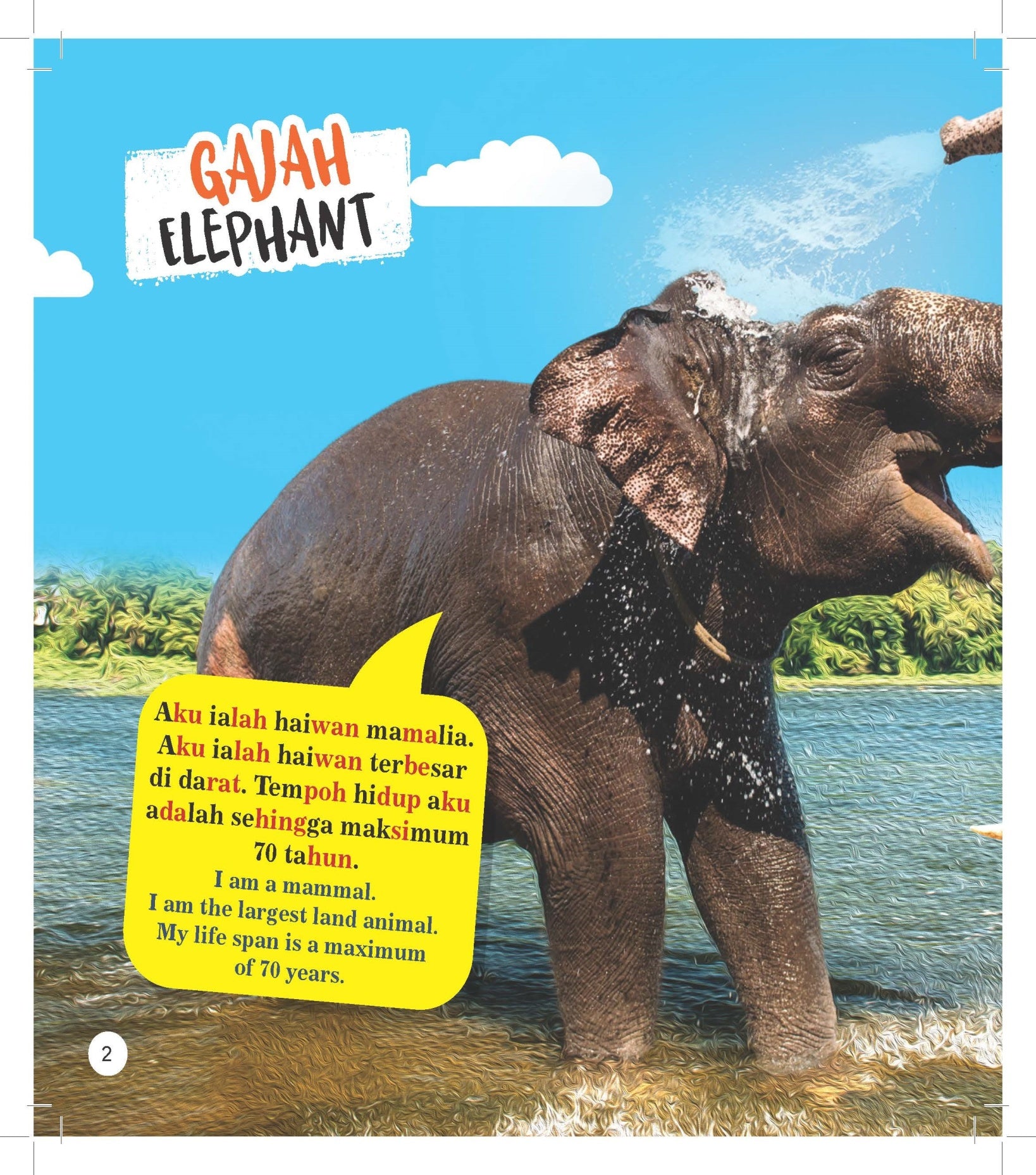 Trivia Kanak-kanak Tentang Haiwan Liar Dwibahasa