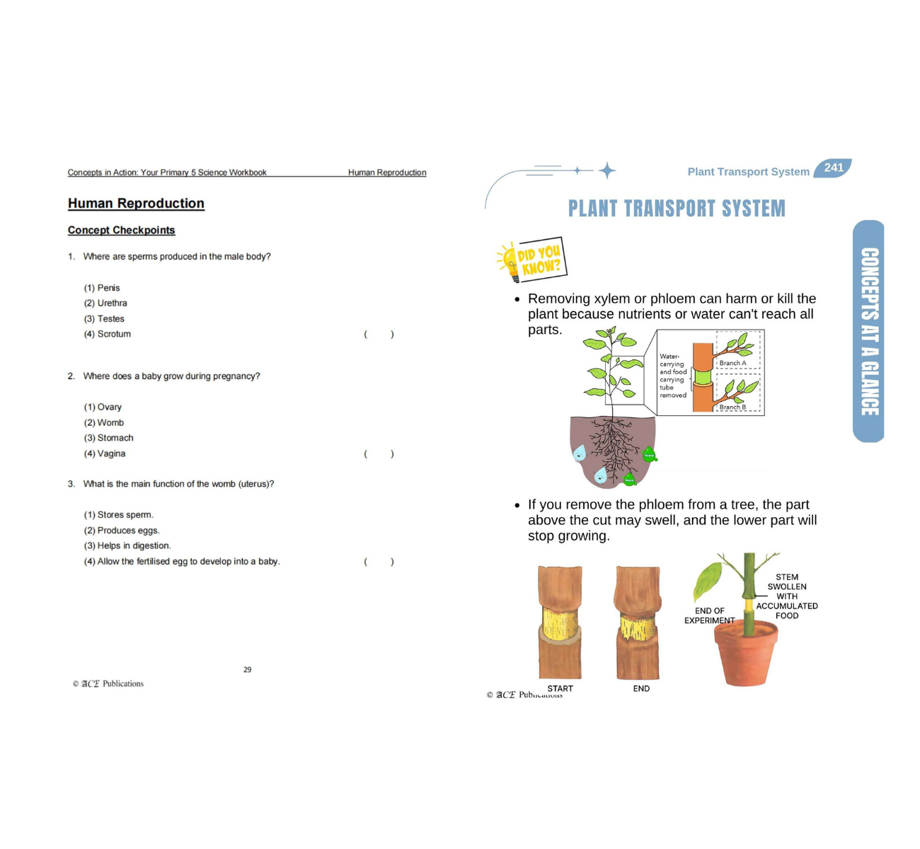Primary 5 Science Bundle – Life Sciences (Get Your Concepts Right + Concepts In Action)