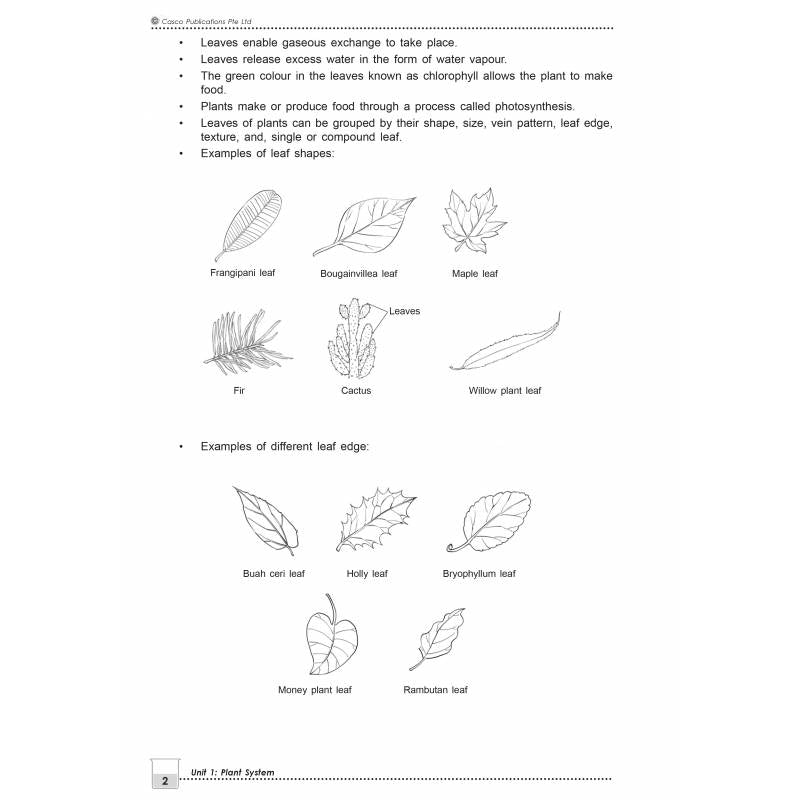 New Topical Science Primary 4 - 2nd Edition