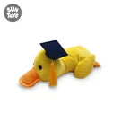 Uw 12 Graduation Yellow Duck