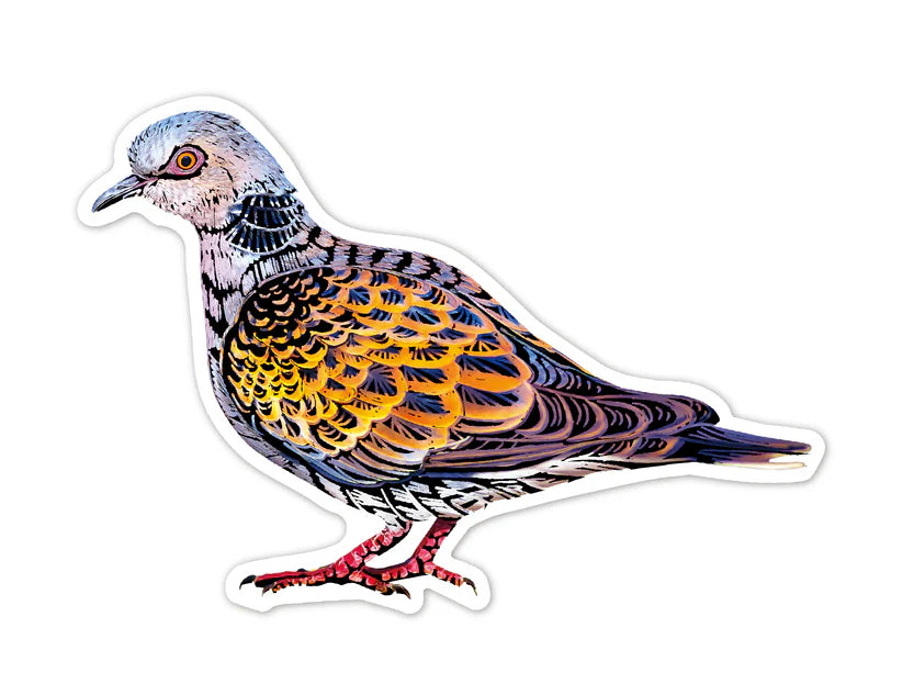 Avenir Scratch Stickers Bird