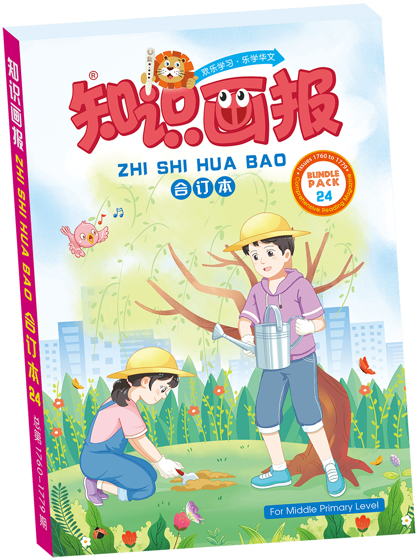 Primary 3&4 2024 知识画报 合订本