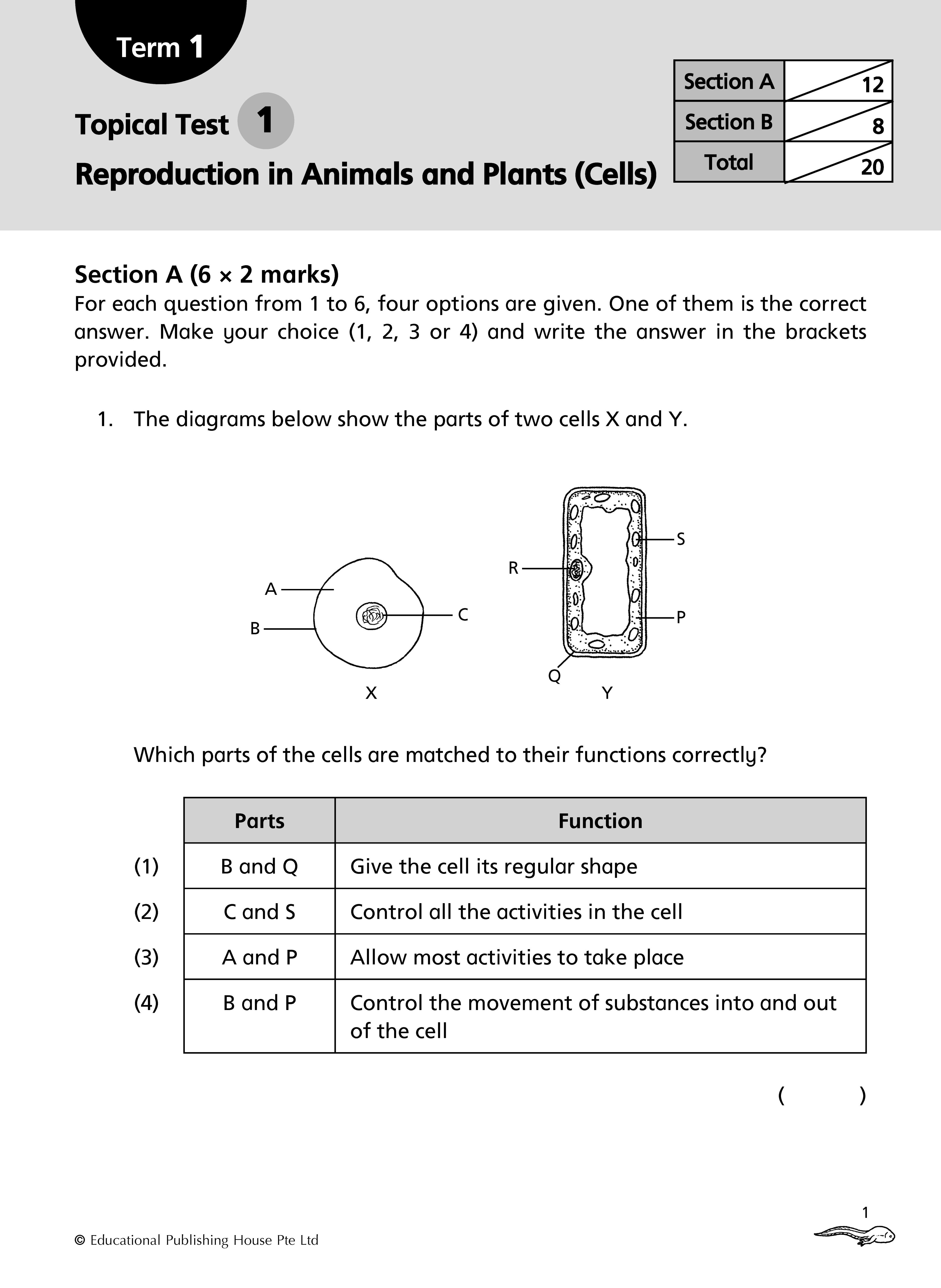 Primary 5 Science Topical Class Tests - 3rd Edition