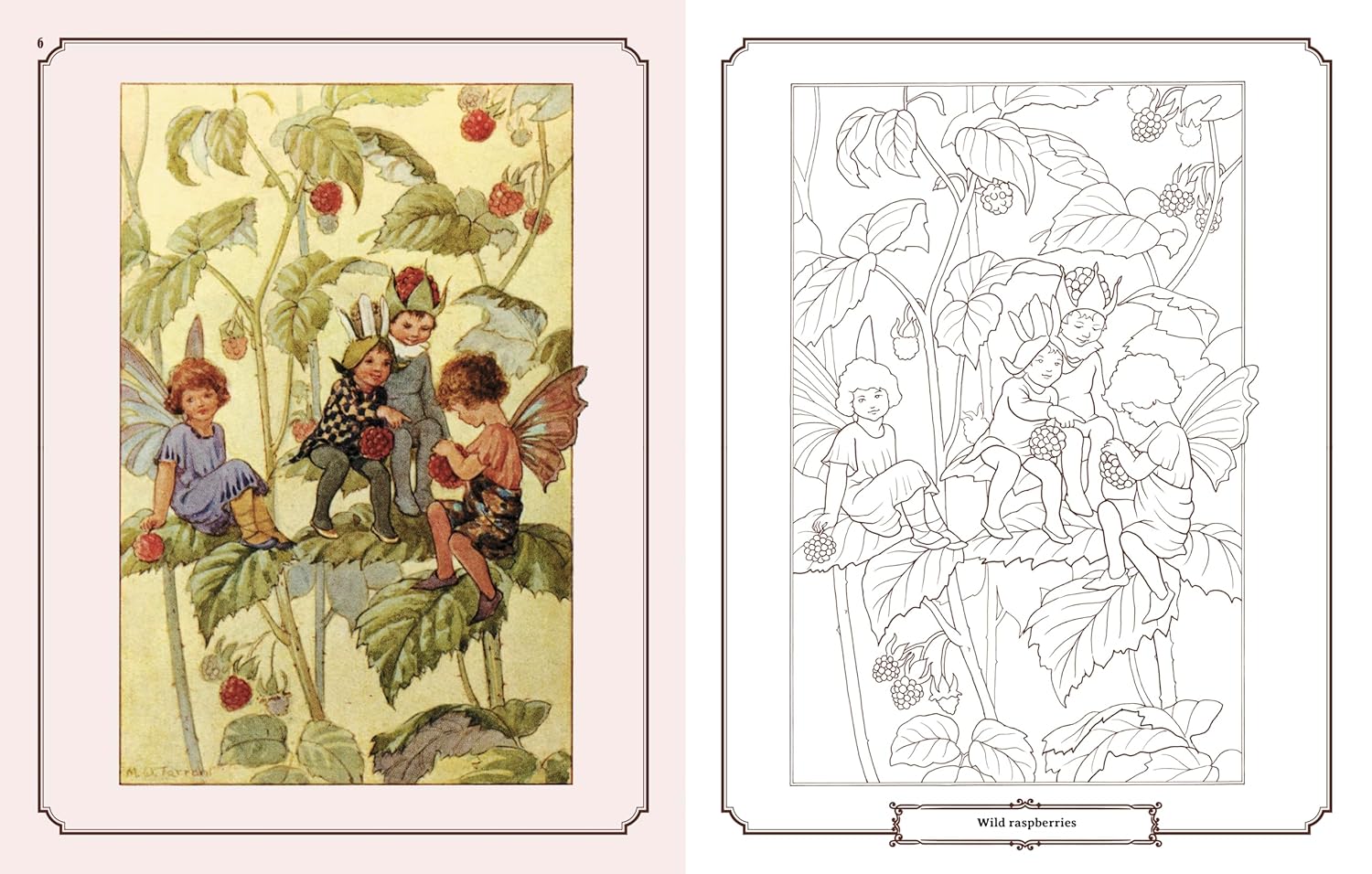 Enchanting Fairies Colouring Kit (Paperback)