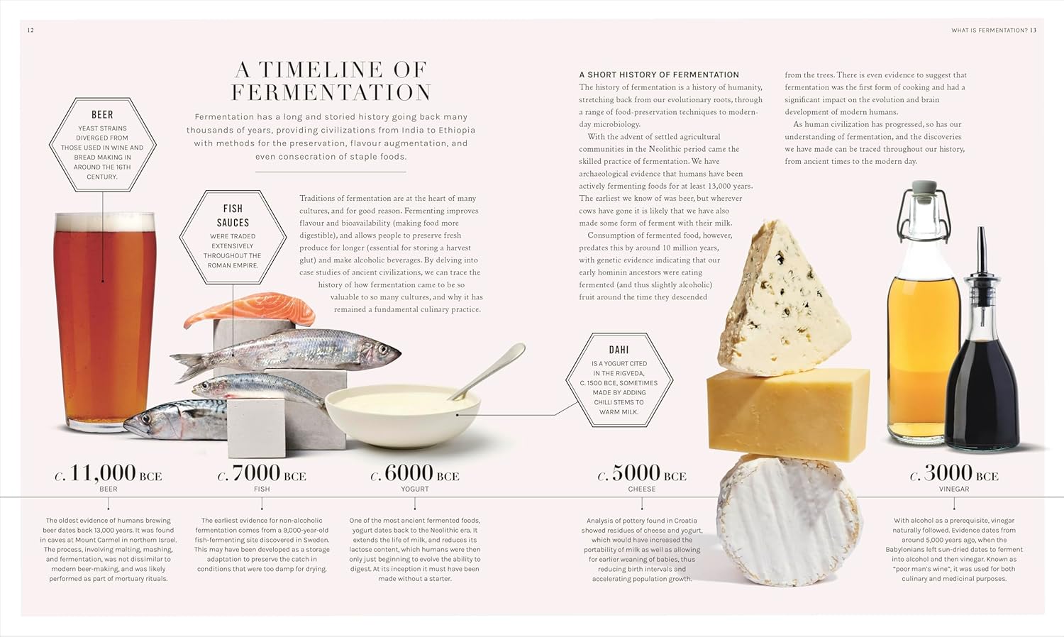 The Science Of Fermentation