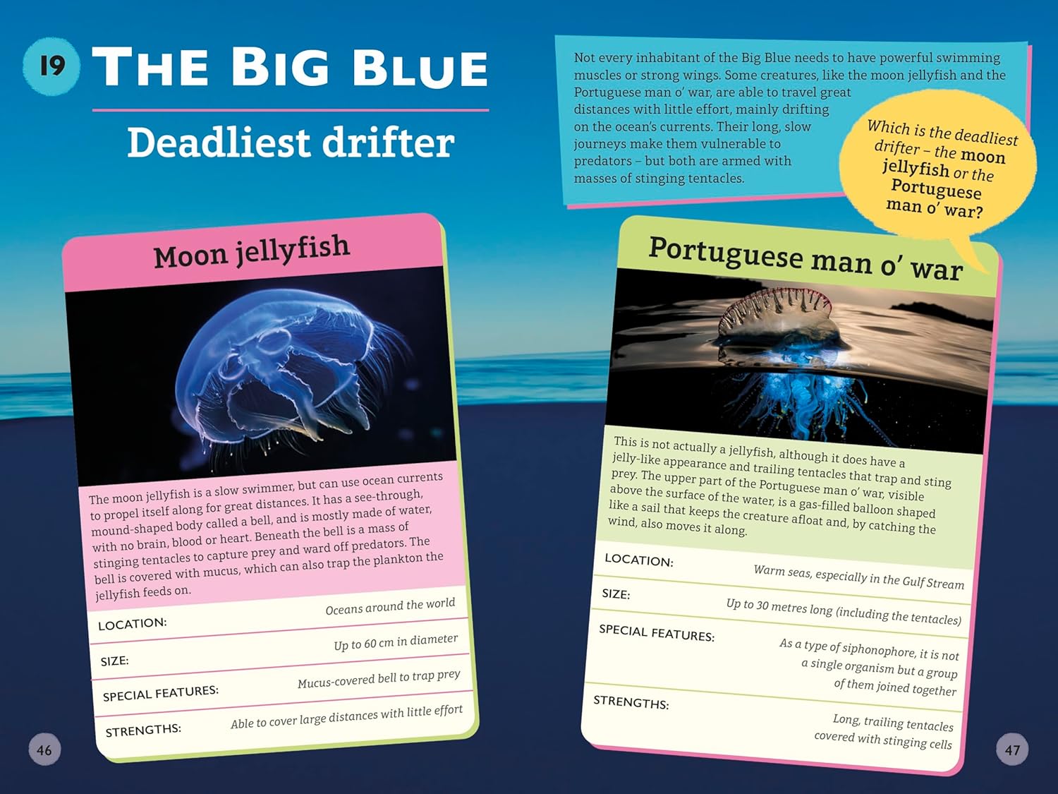 Who Wins? Blue Planet II (Paperback)