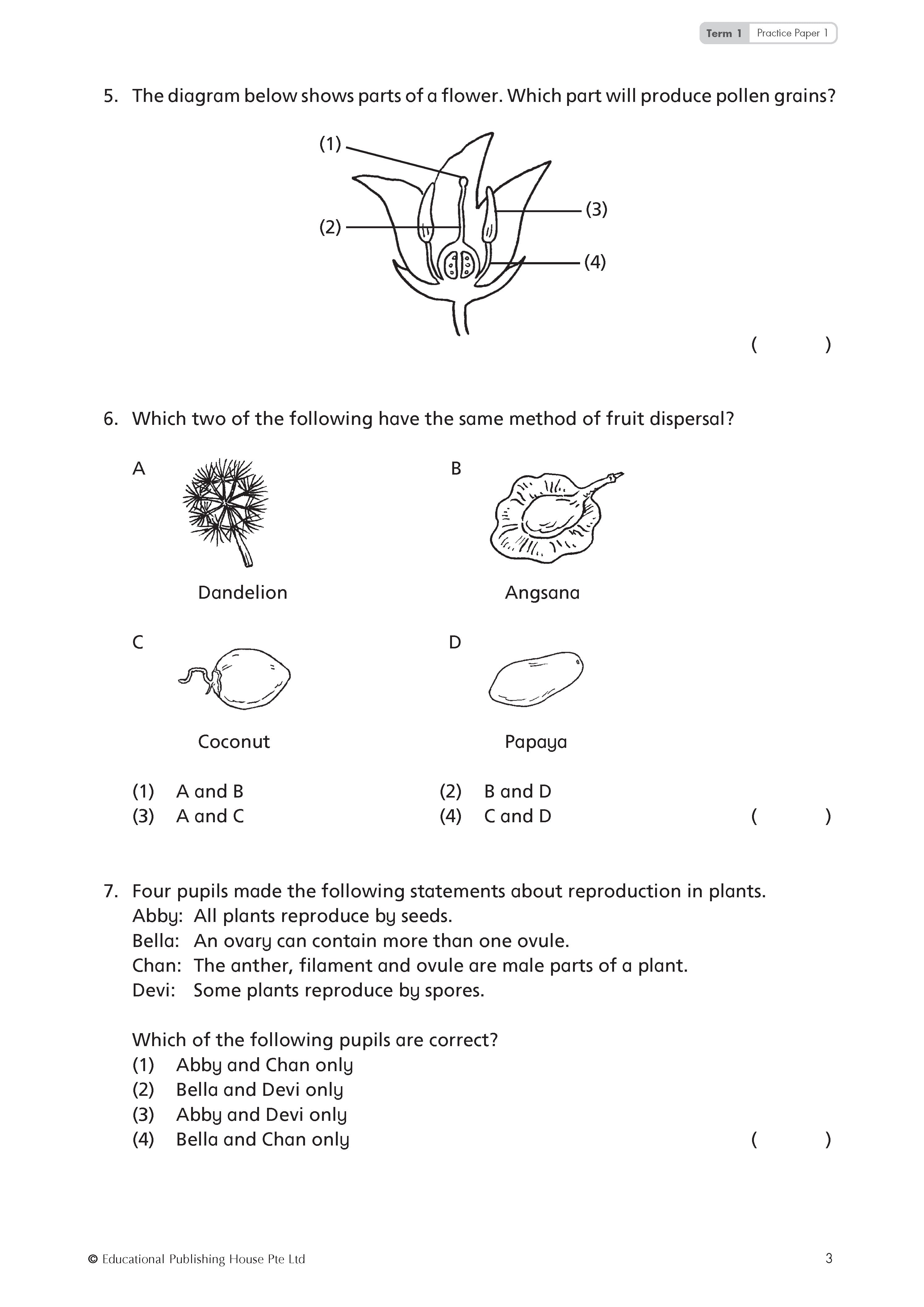 P5 TOP Science Practice Papers 