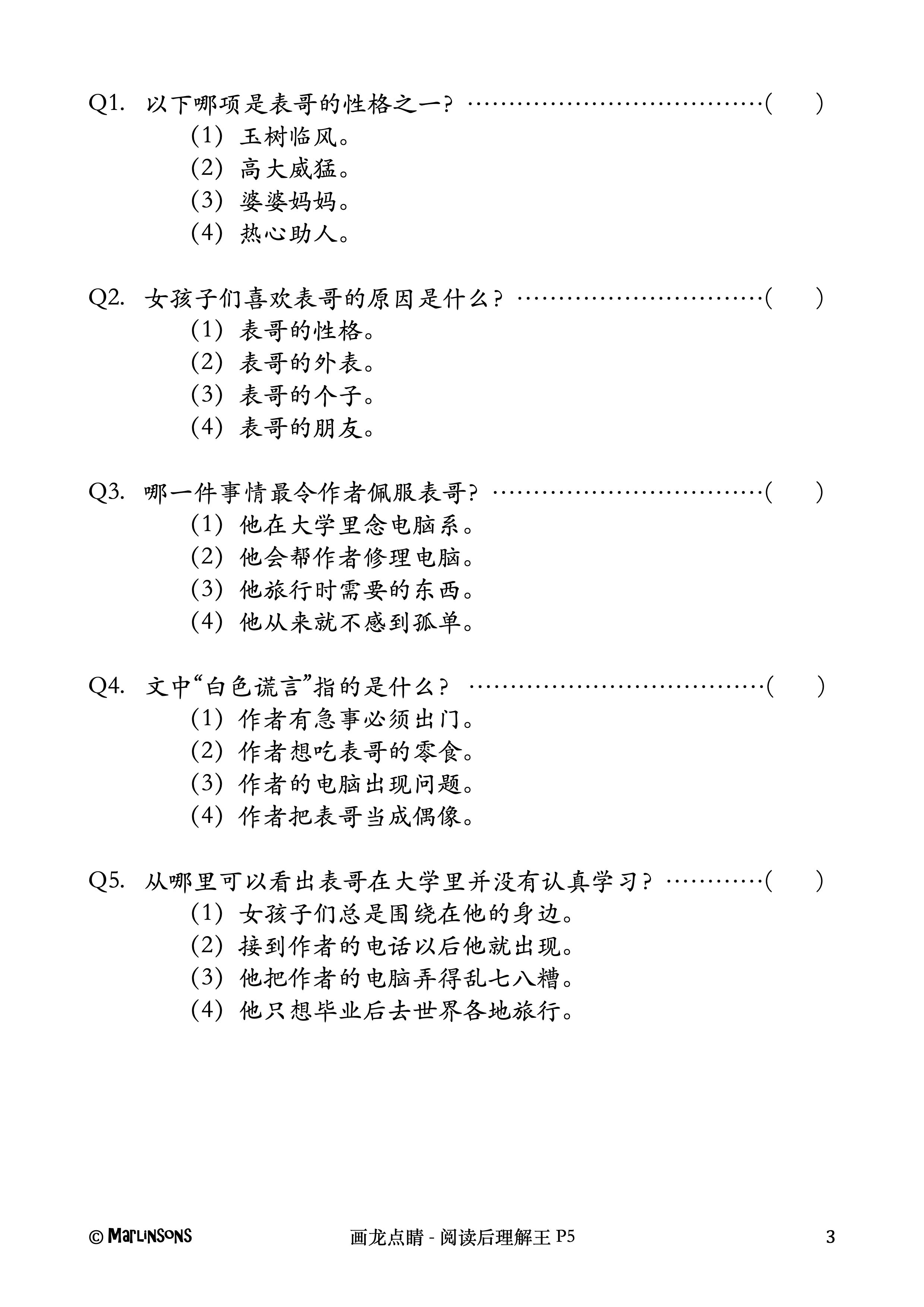 Primary 5 画龙点睛-阅读后理解王