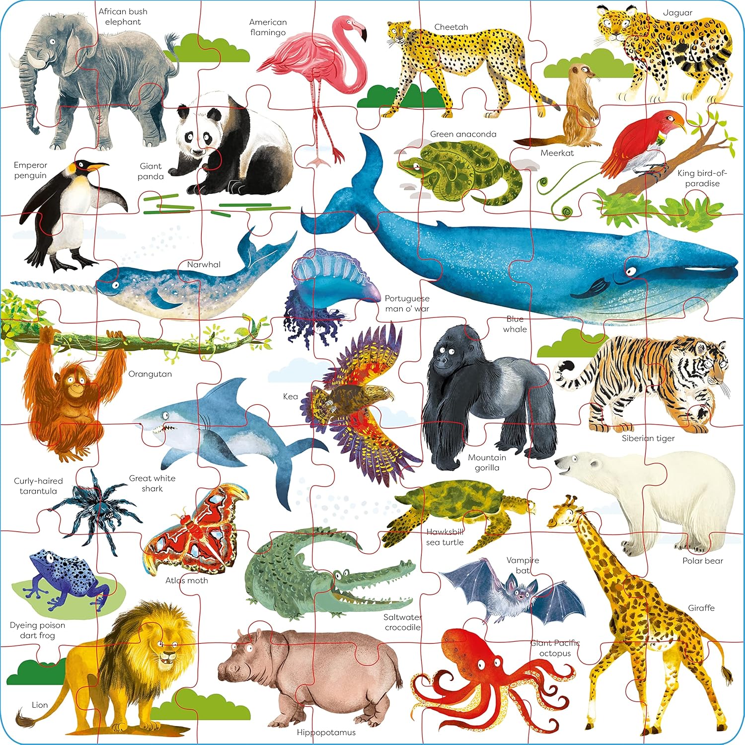 Usborne Book And Jigsaw: Wild Animals