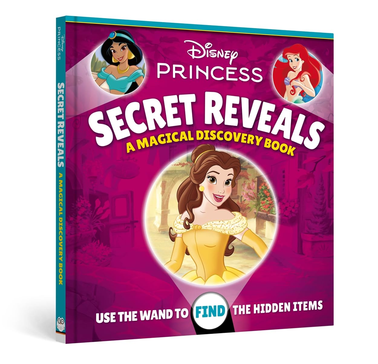 Disney Princess: Secret Reveals (Hardcover)