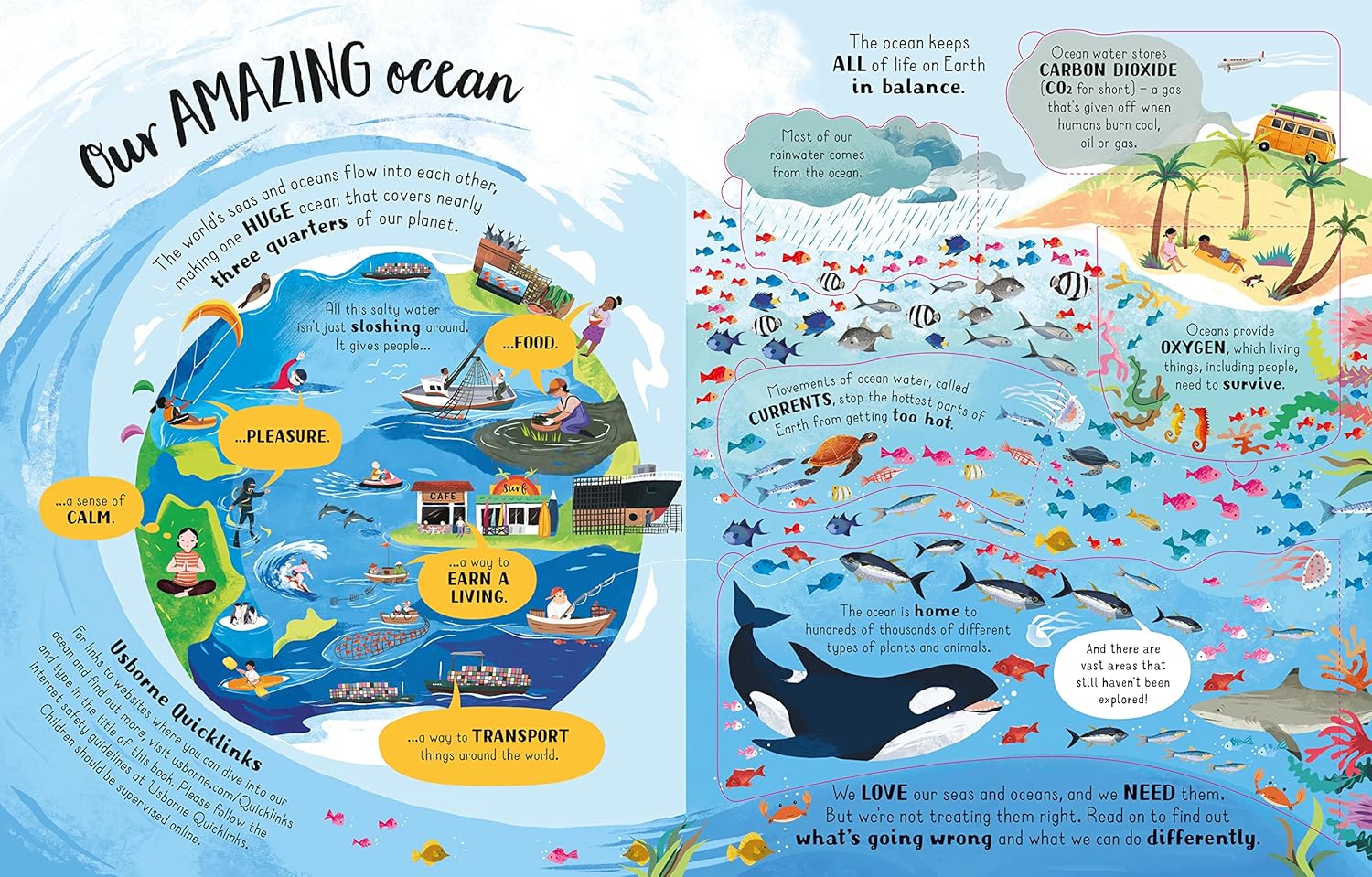 Lift-the-Flap Looking After Our Ocean (Board Book)