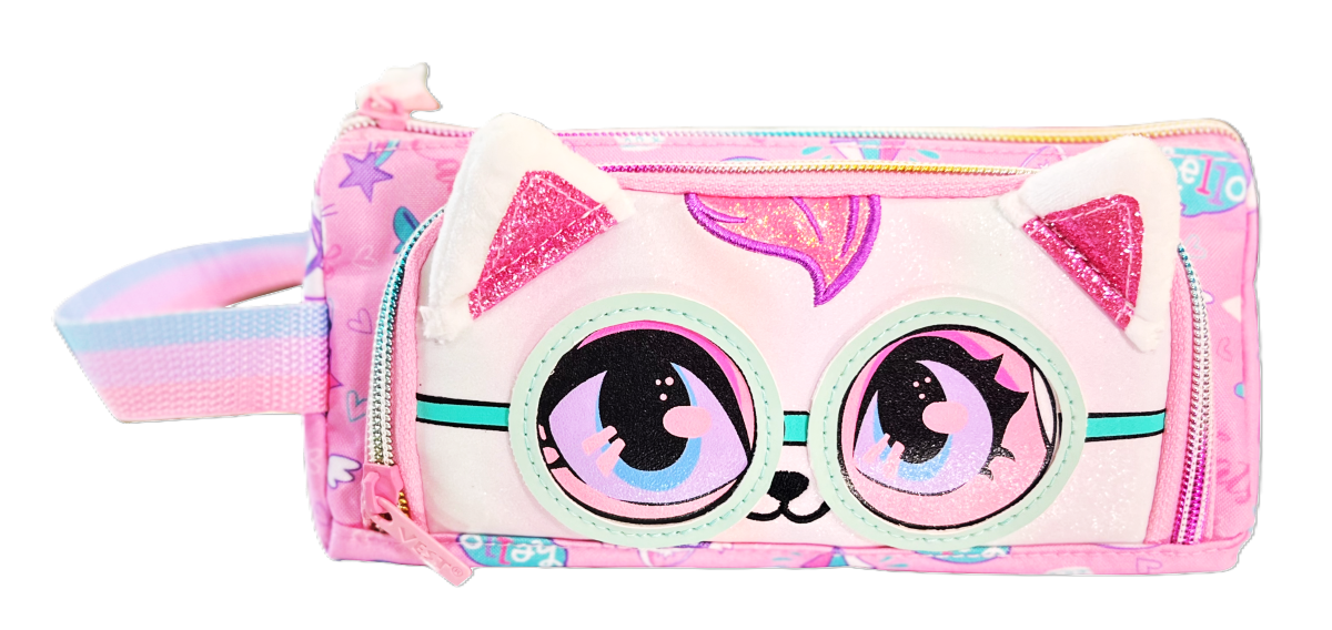 ASSORTED DOUBLE ZIPPER PENCIL BAG U2099
