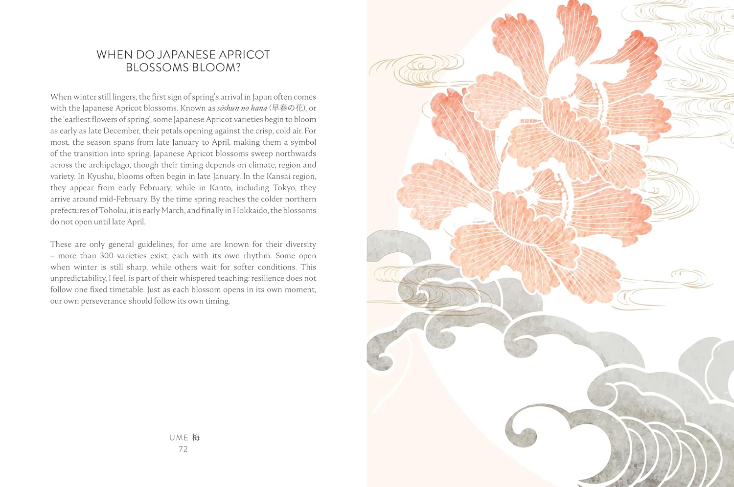 Oubaitori: The Japanese Art of Self-Acceptance (Hardcover)