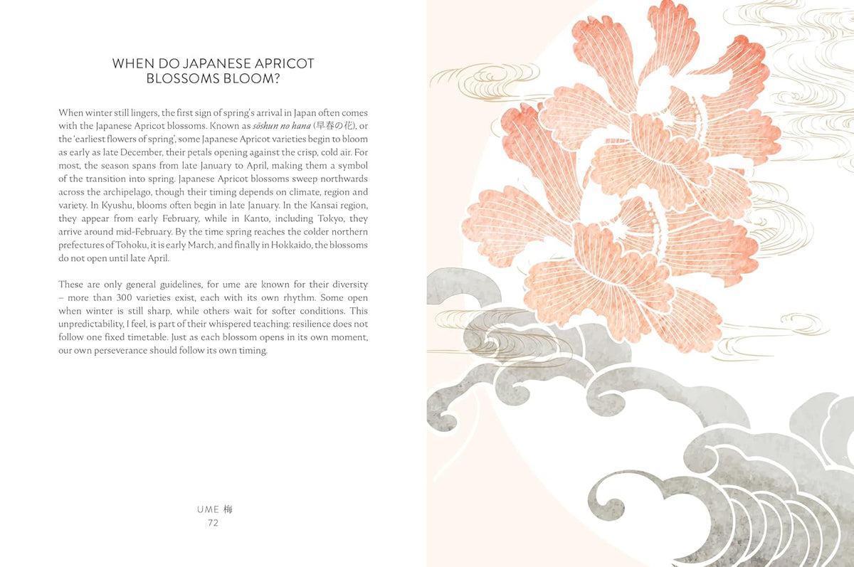 Oubaitori: The Japanese Art of Self-Acceptance (Hardcover)